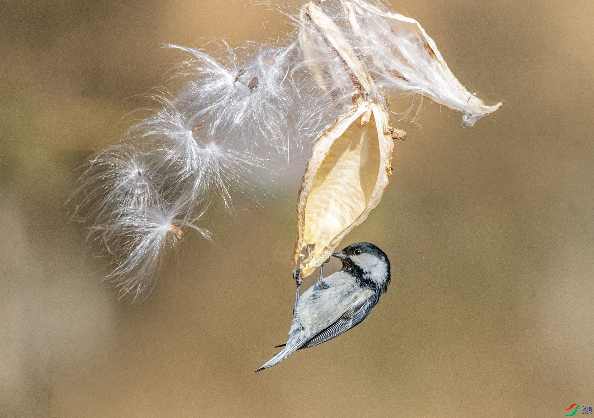 DSC_6138_��ͼ��_��ͼ�� ����.jpg