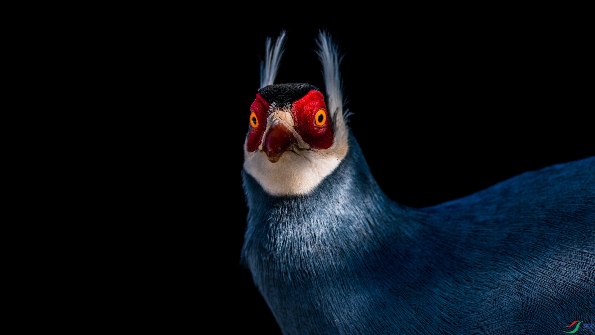����������ȸݺ-11.jpg