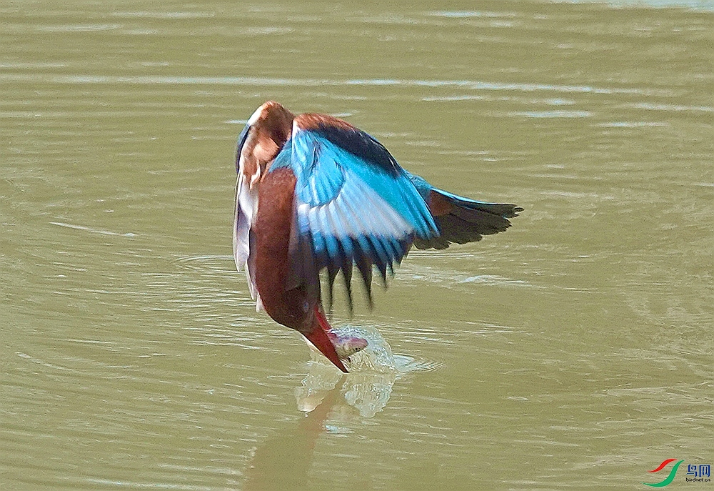 QQͼƬ20260214100424.jpg