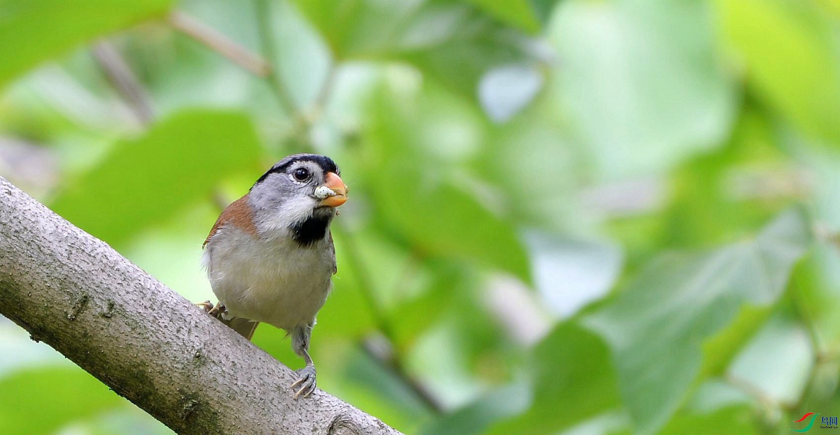 DSC_6946_����.jpg