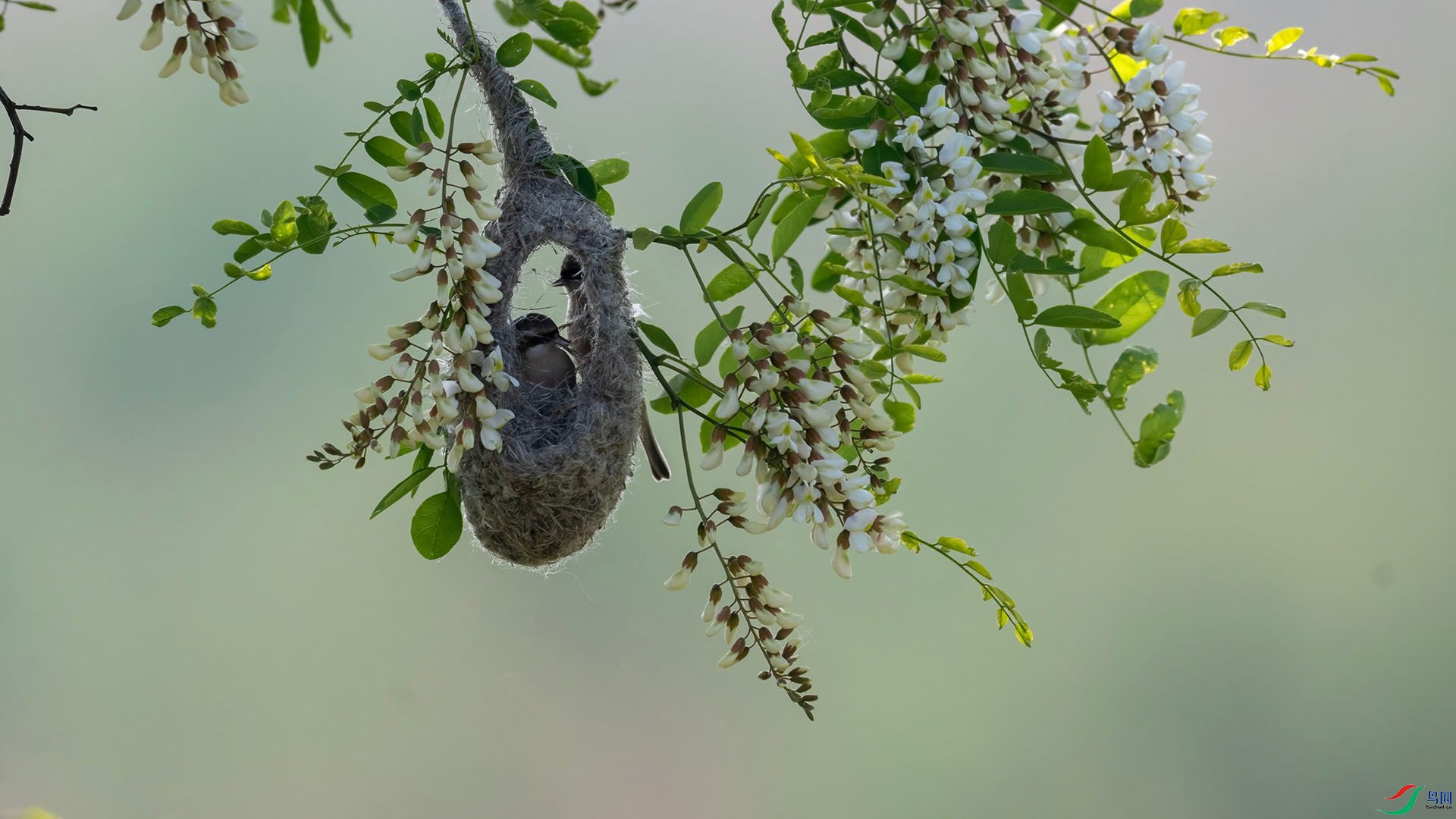 _DSC0763 ����.jpg