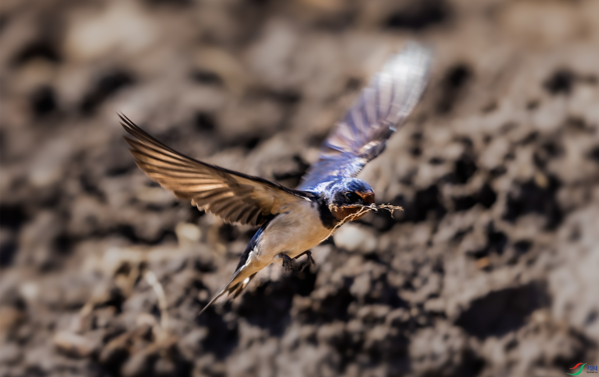 4K2A9395 ����002.jpg