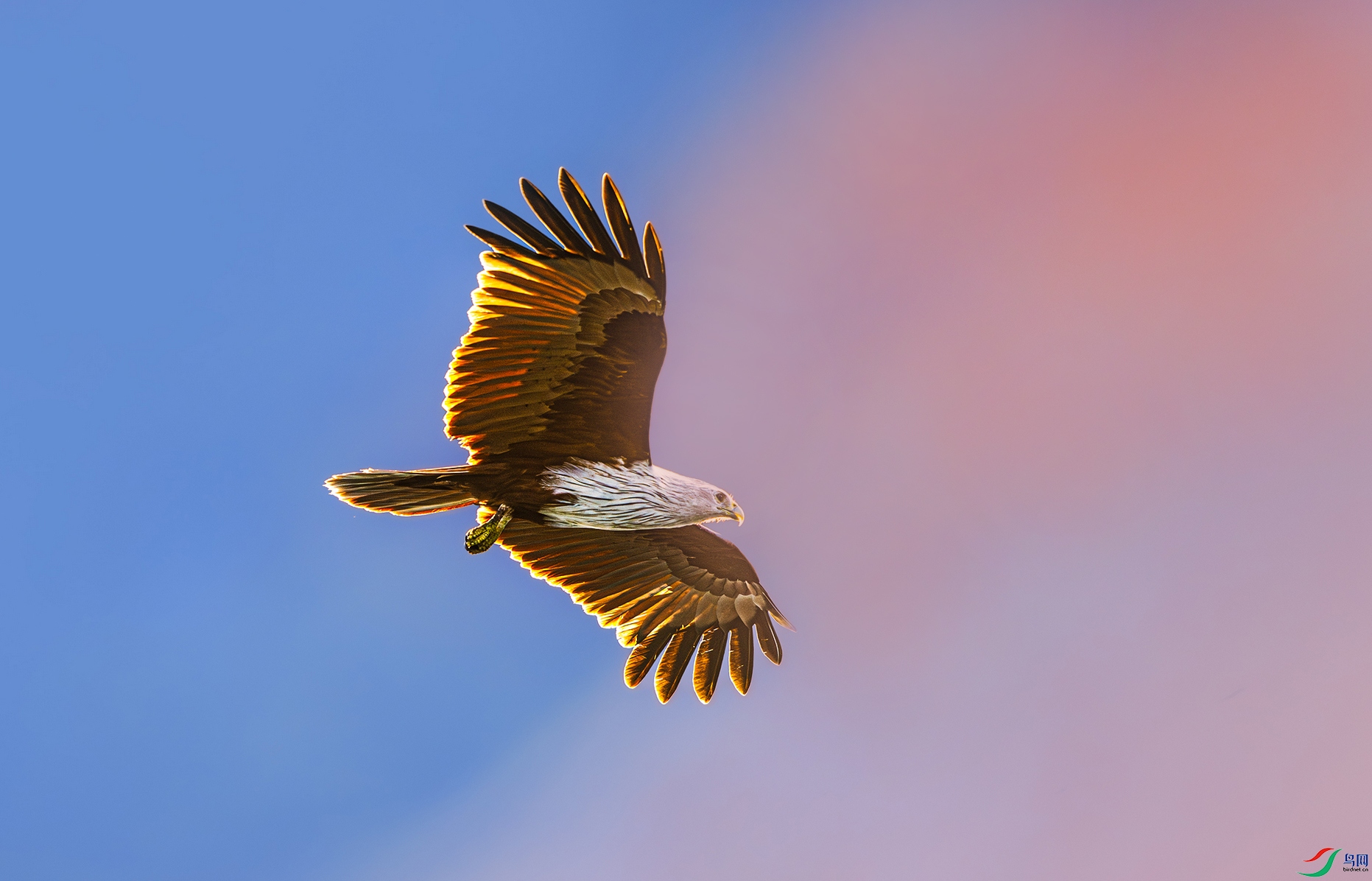 DSC_6470.jpg