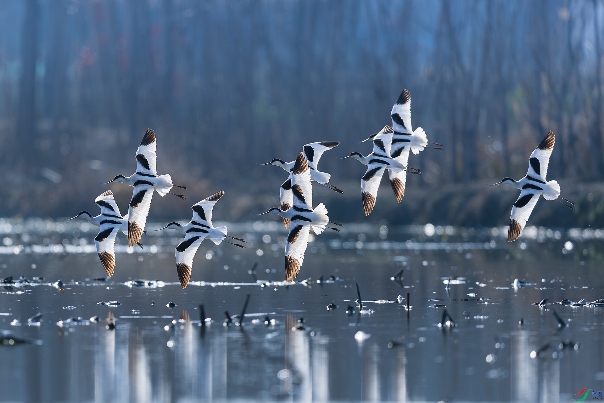 _F9A5808 ����.jpg