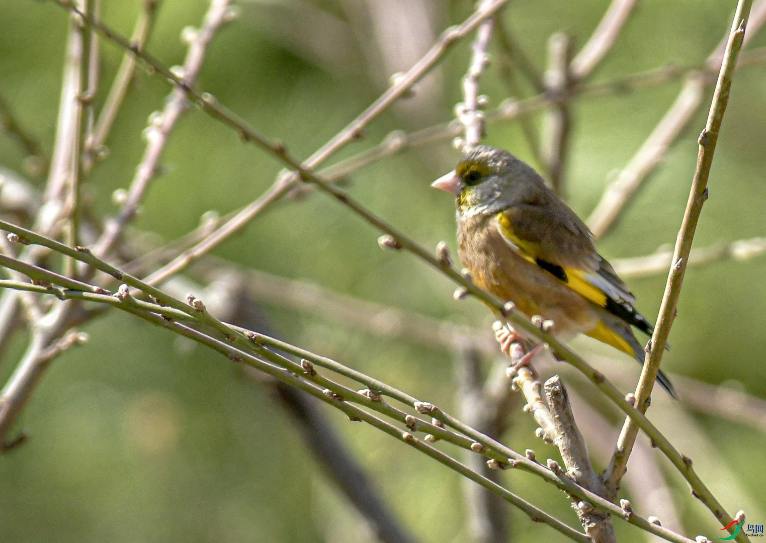 DSC_5974_2.jpg