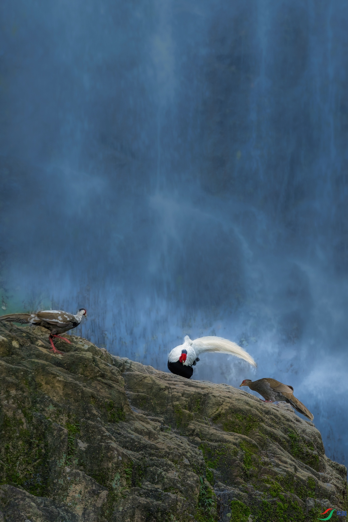 ����----�ٲ�ɽ��һ����