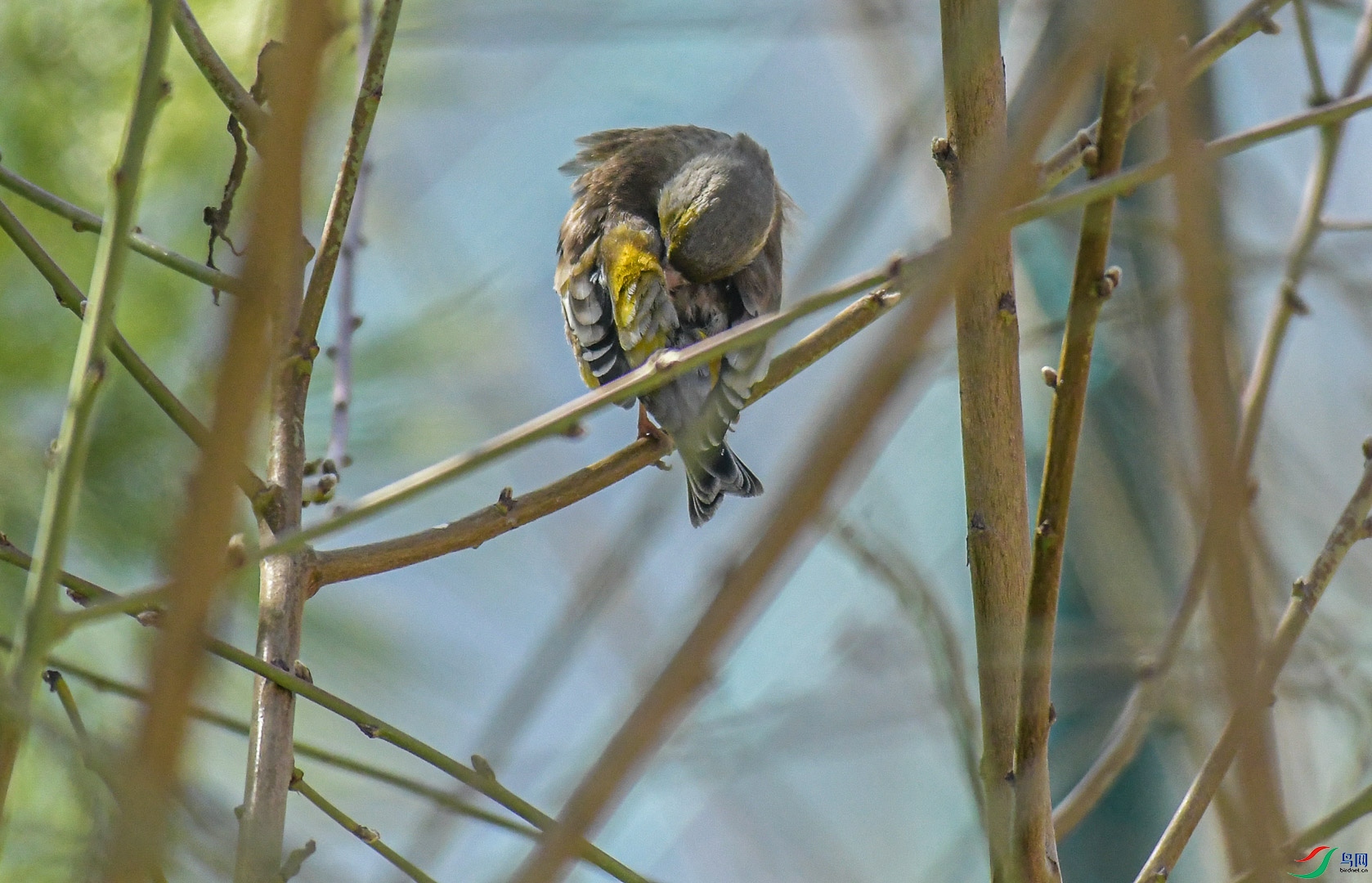 DSC_6068_2.jpg