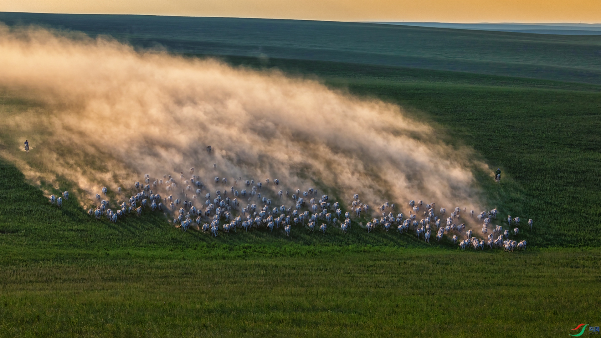 _��Х�糾X7A1580 (1).jpg