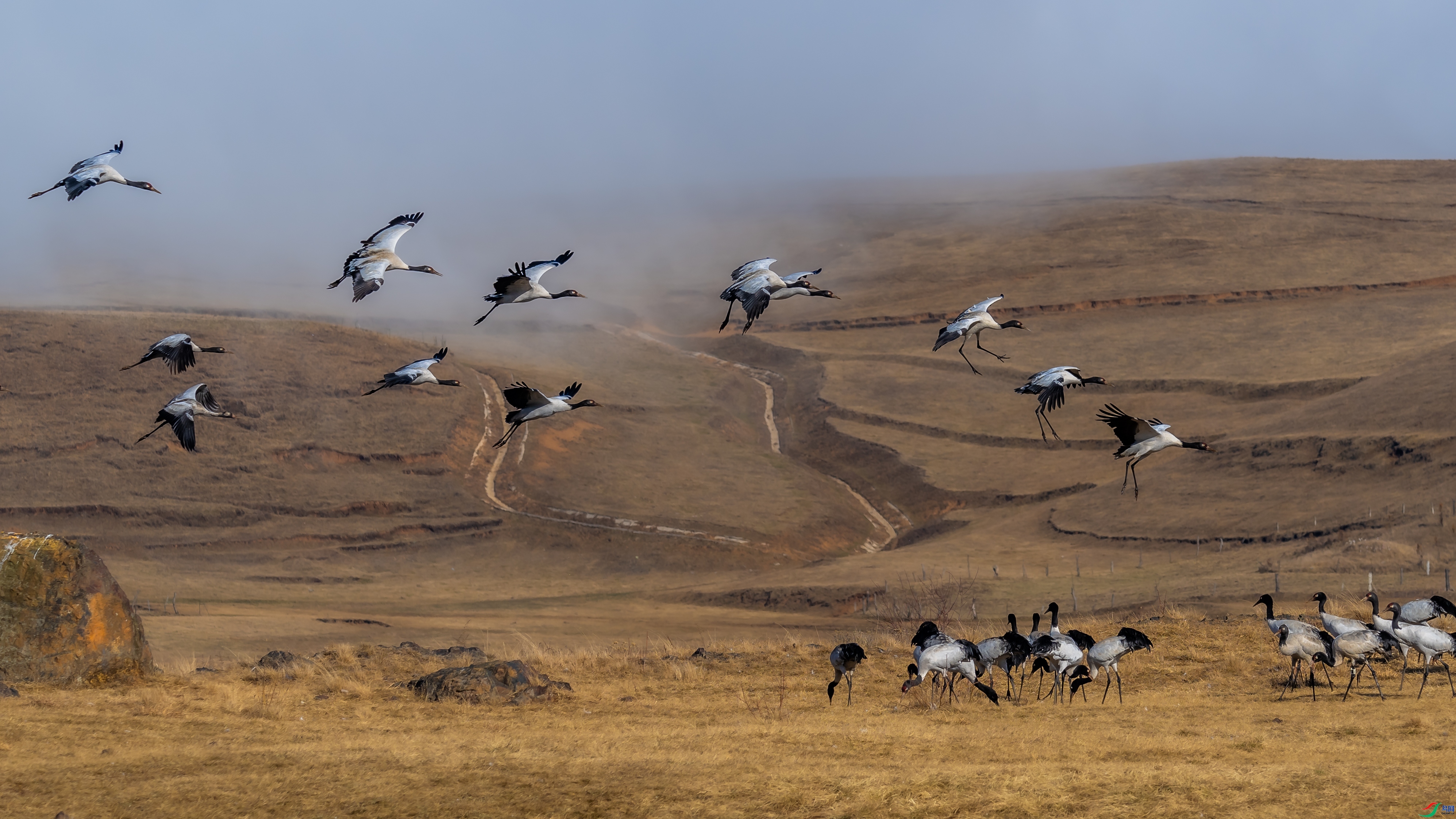 2.9 ��������bj��ʦ��Ʒ  Ⱥ�׹���   �ٻ�2026��2��9�հ�����ҳ����.jpg