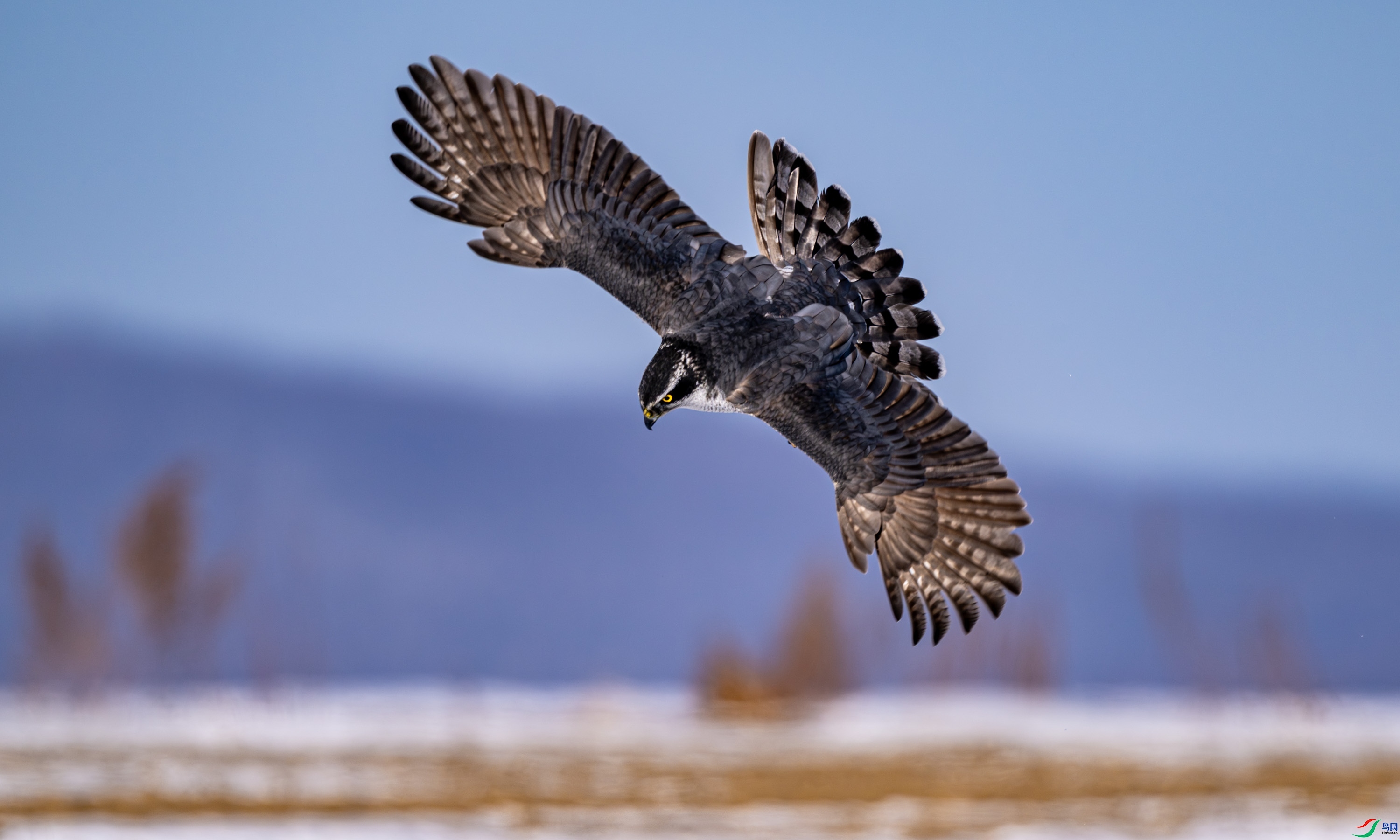 2.13 �ɸ�����ʦ��Ʒ  ��ӥ���Ѳ��  �ٻ�2026��2��13����Ӱʦ��ҳ����.jpg