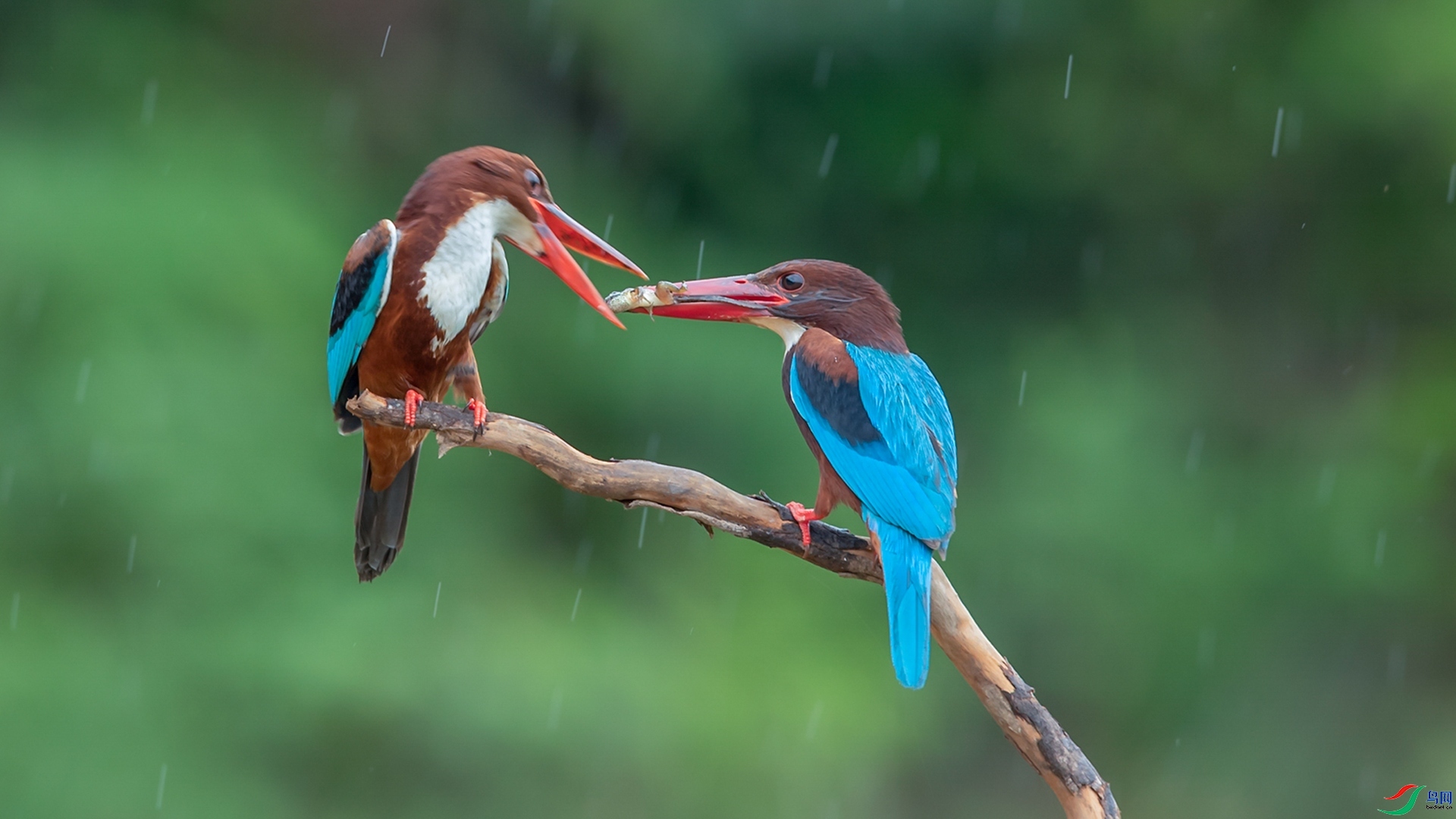 2.14 ������ʦ��Ʒ  ����  �ٻ�2026��1��14��ÿ�ռ���.jpg