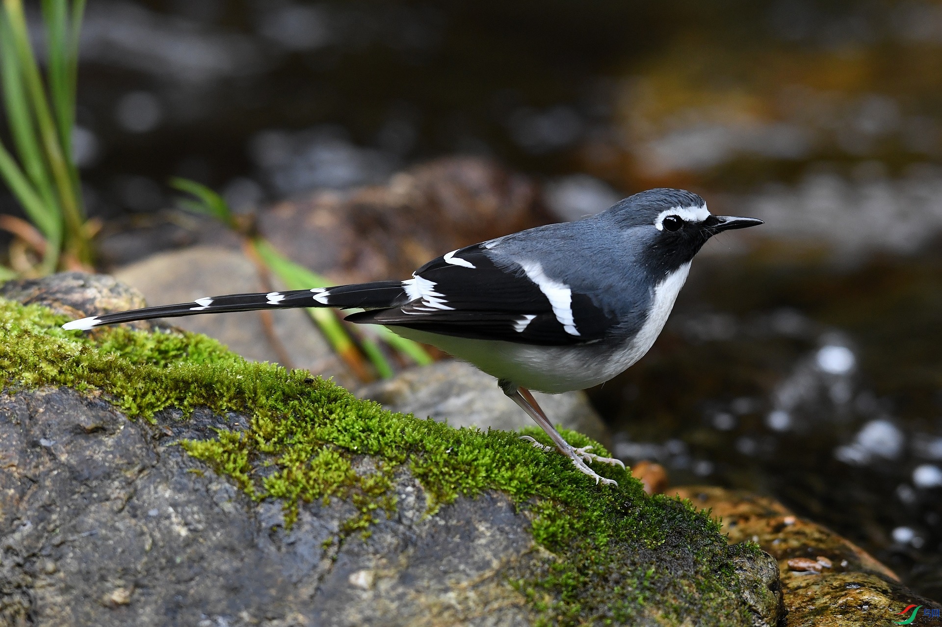 DSC_5781.jpg