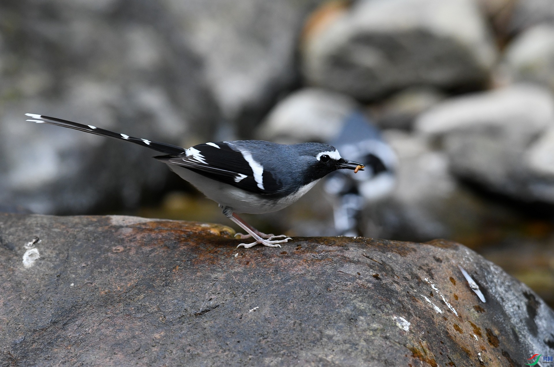 DSC_5773.jpg