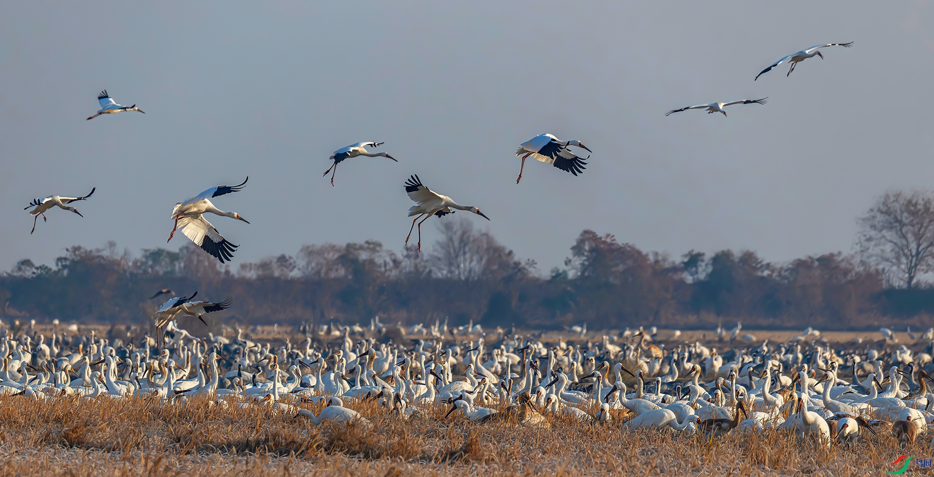 _60A8619----33  .jpg