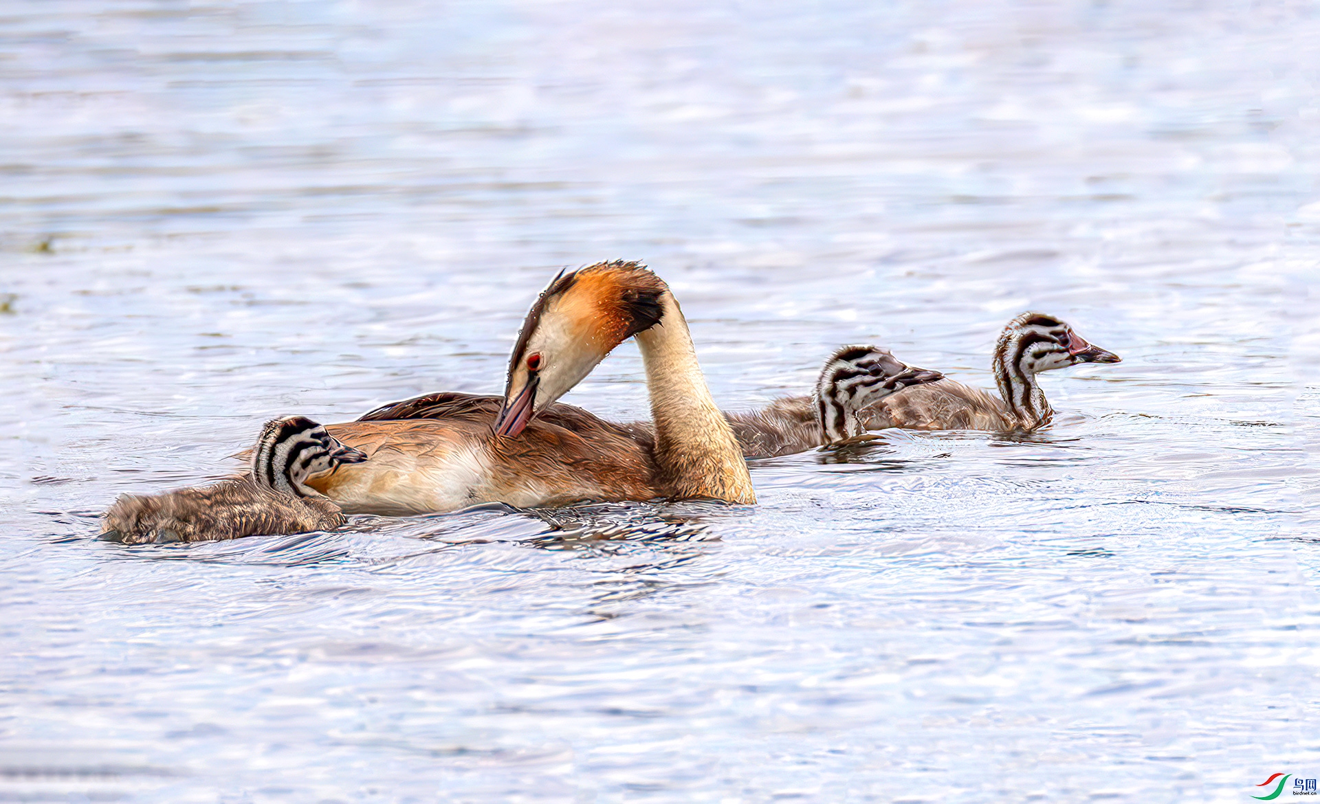 407A6528----33  .jpg