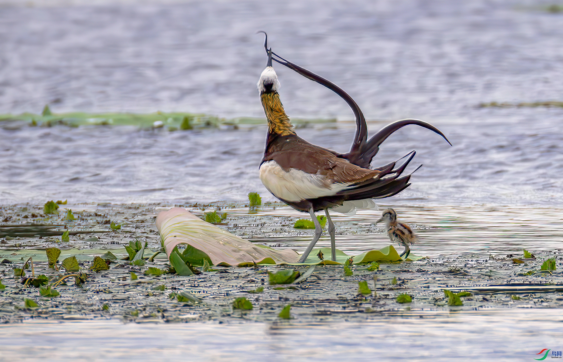 407A6828-----33  .jpg