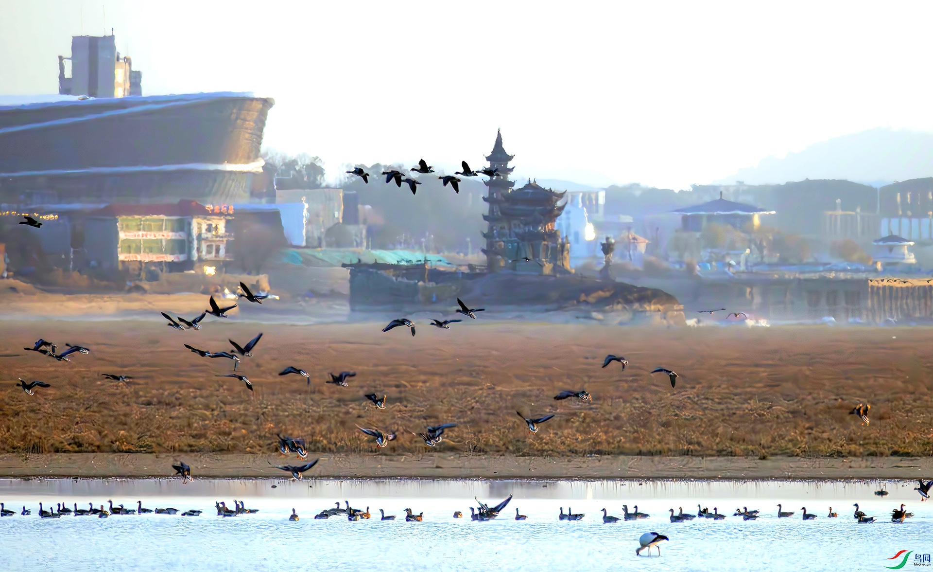 407A9852-----33  .jpg