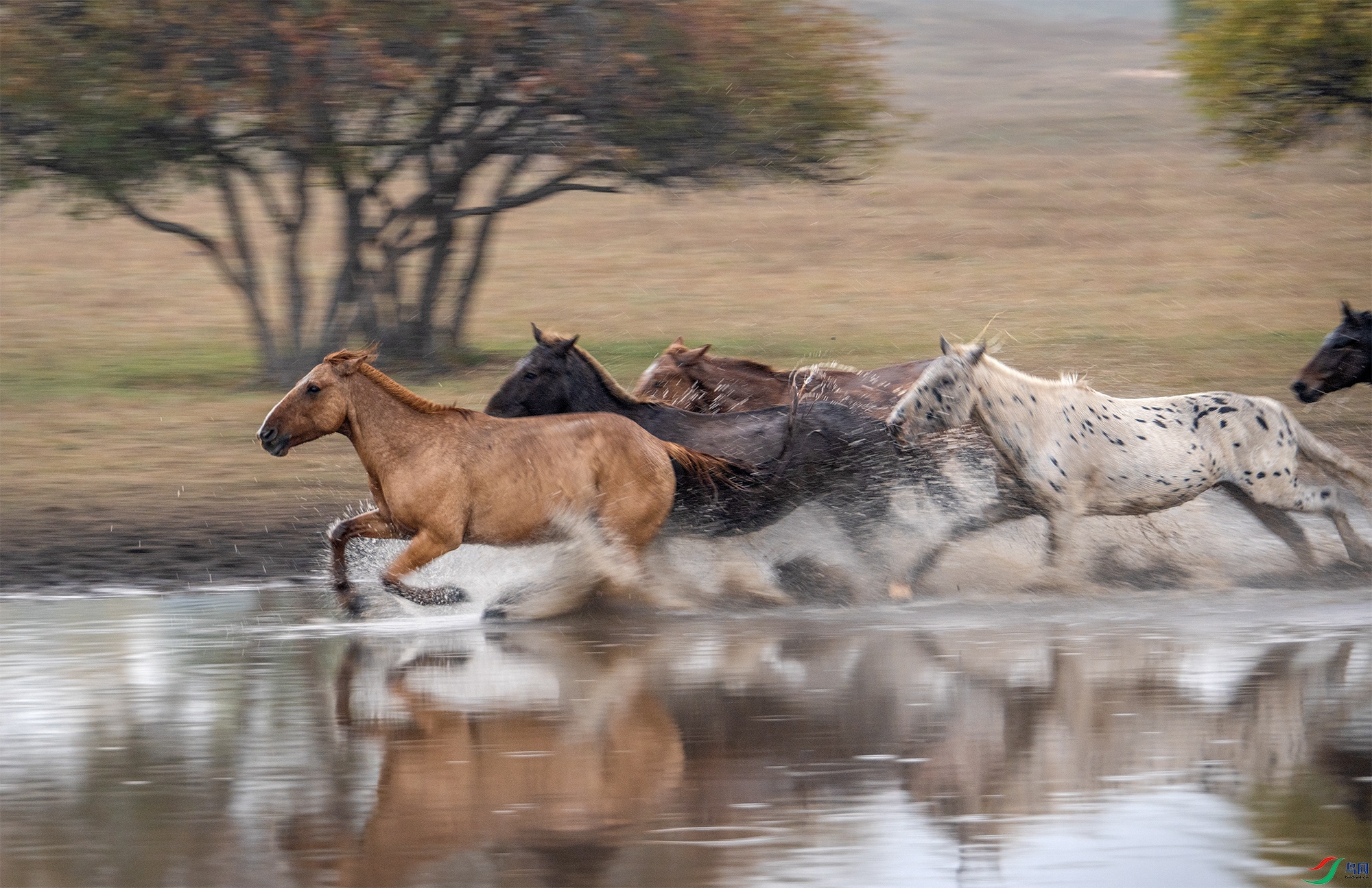 DSC_0716 ����.jpg