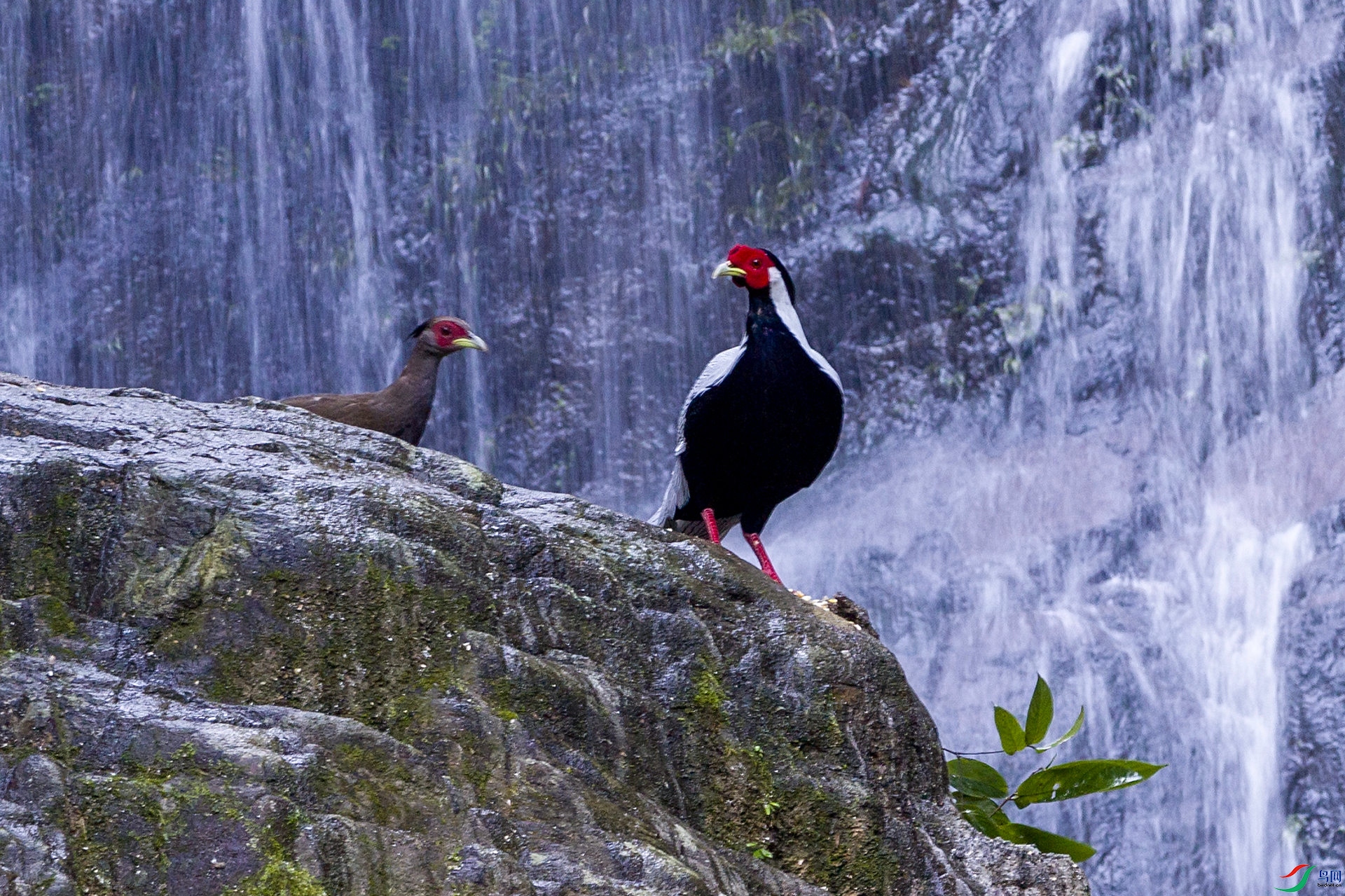 2H6A9470 ����_����.jpg