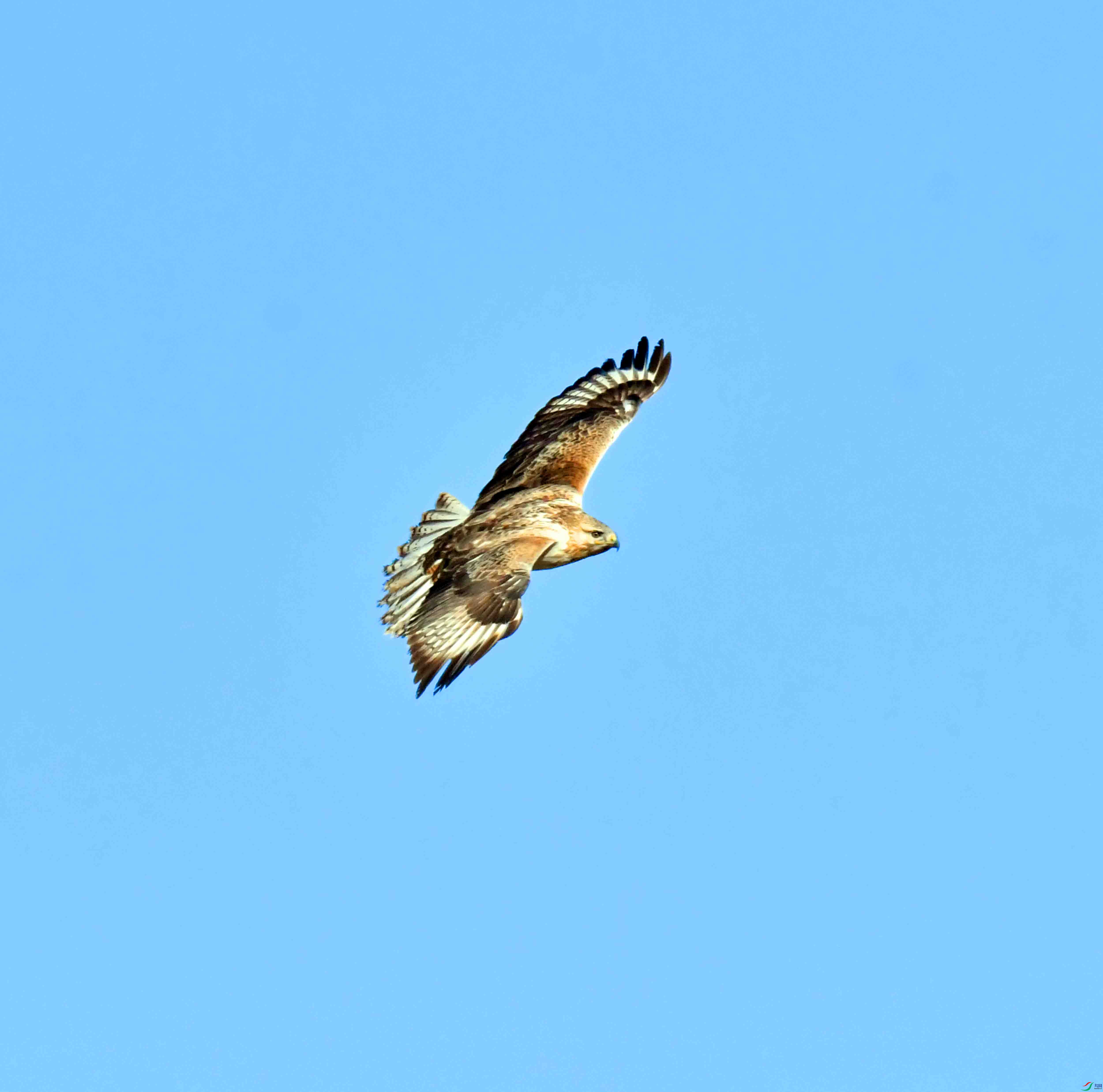 DSC_4458.JPG