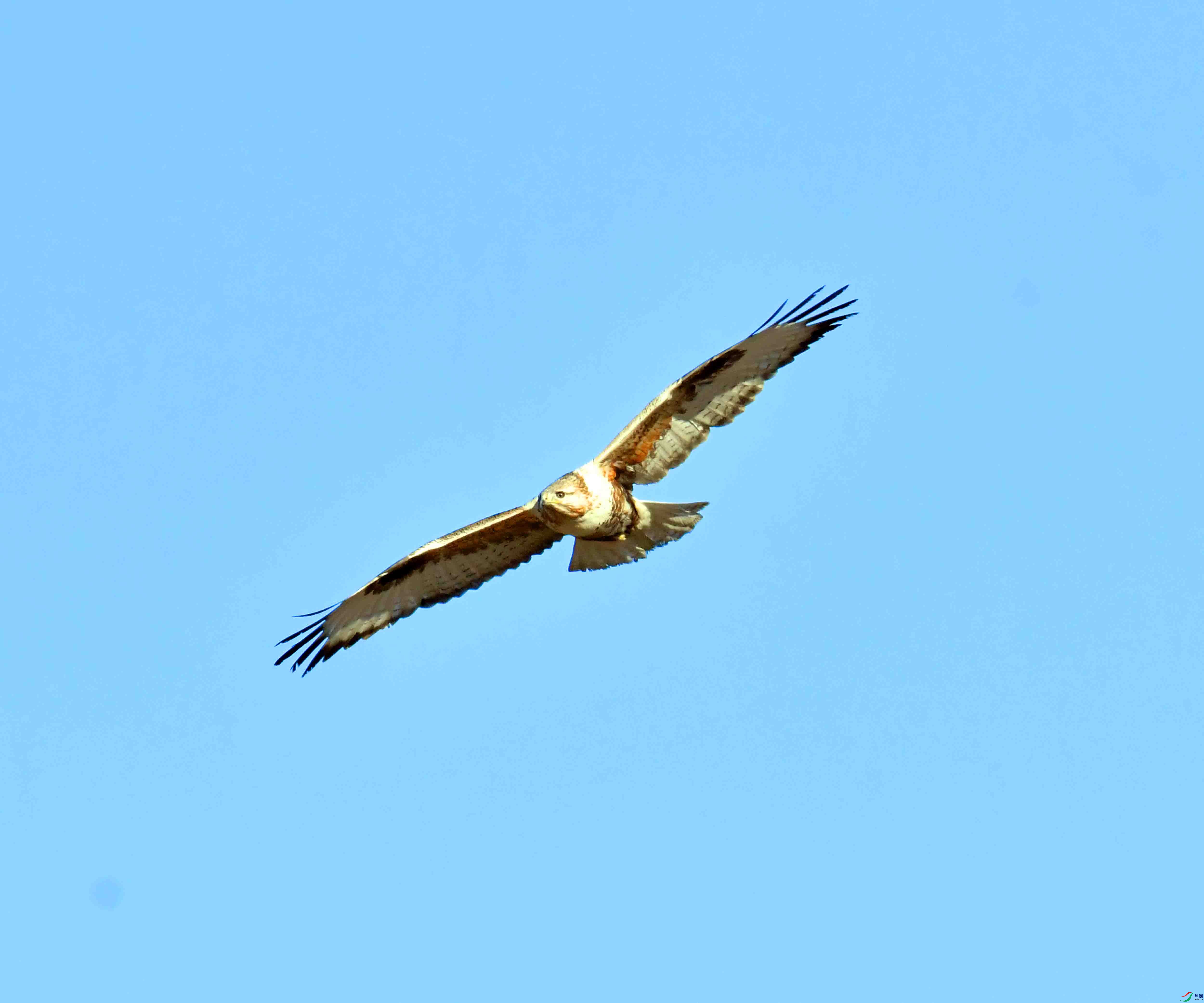 DSC_4463.JPG