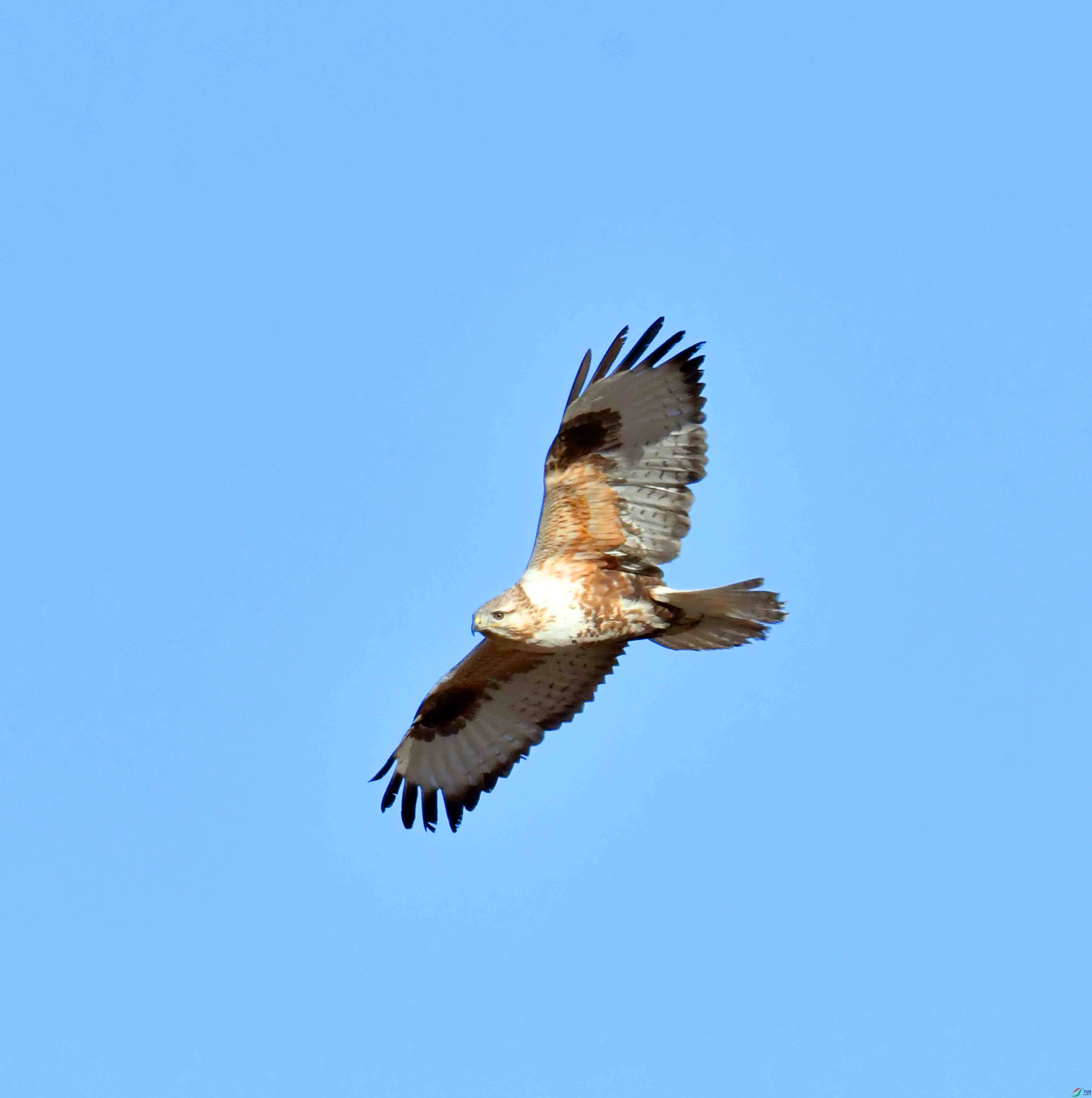DSC_4468.JPG