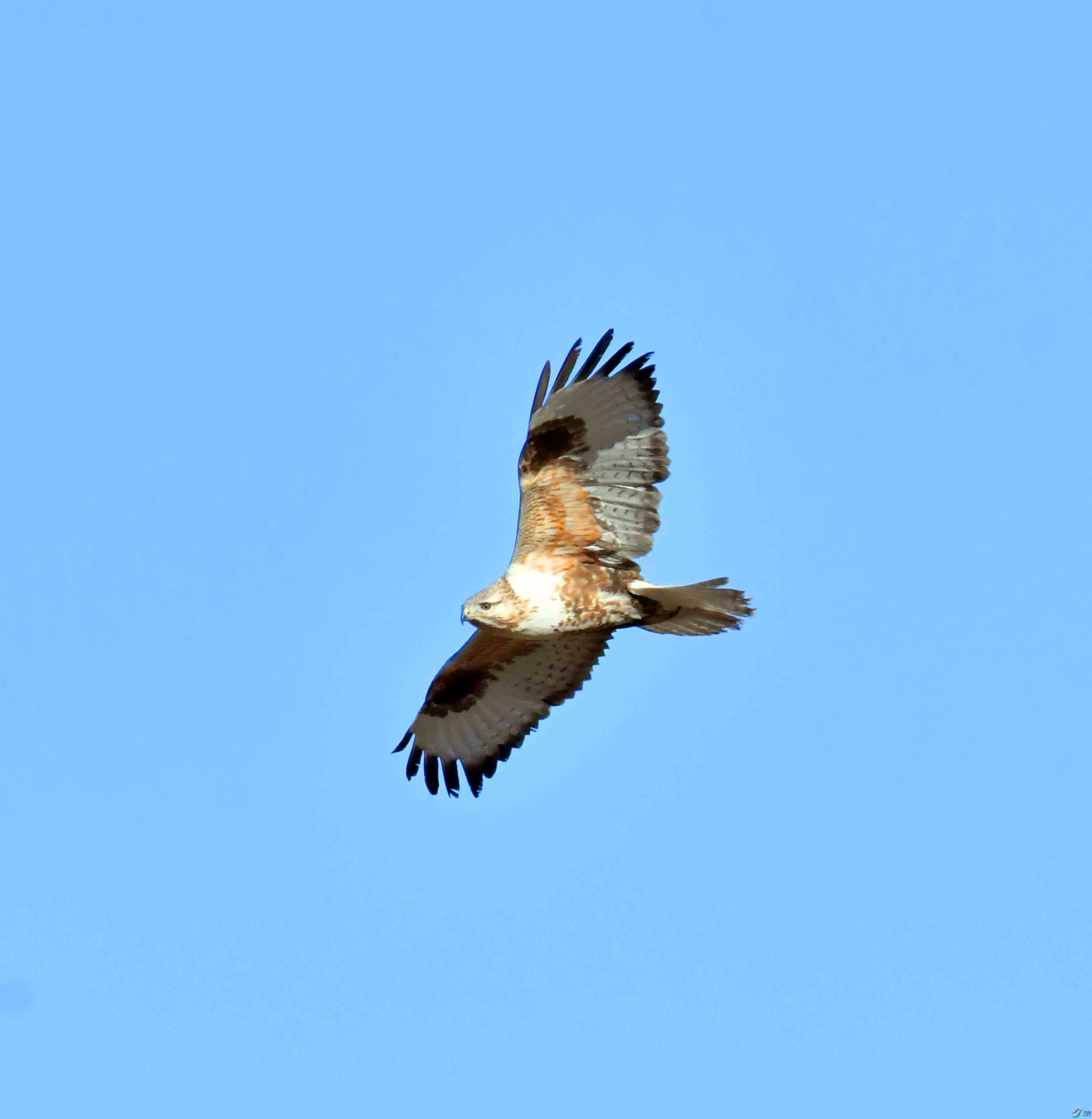 DSC_4469.JPG