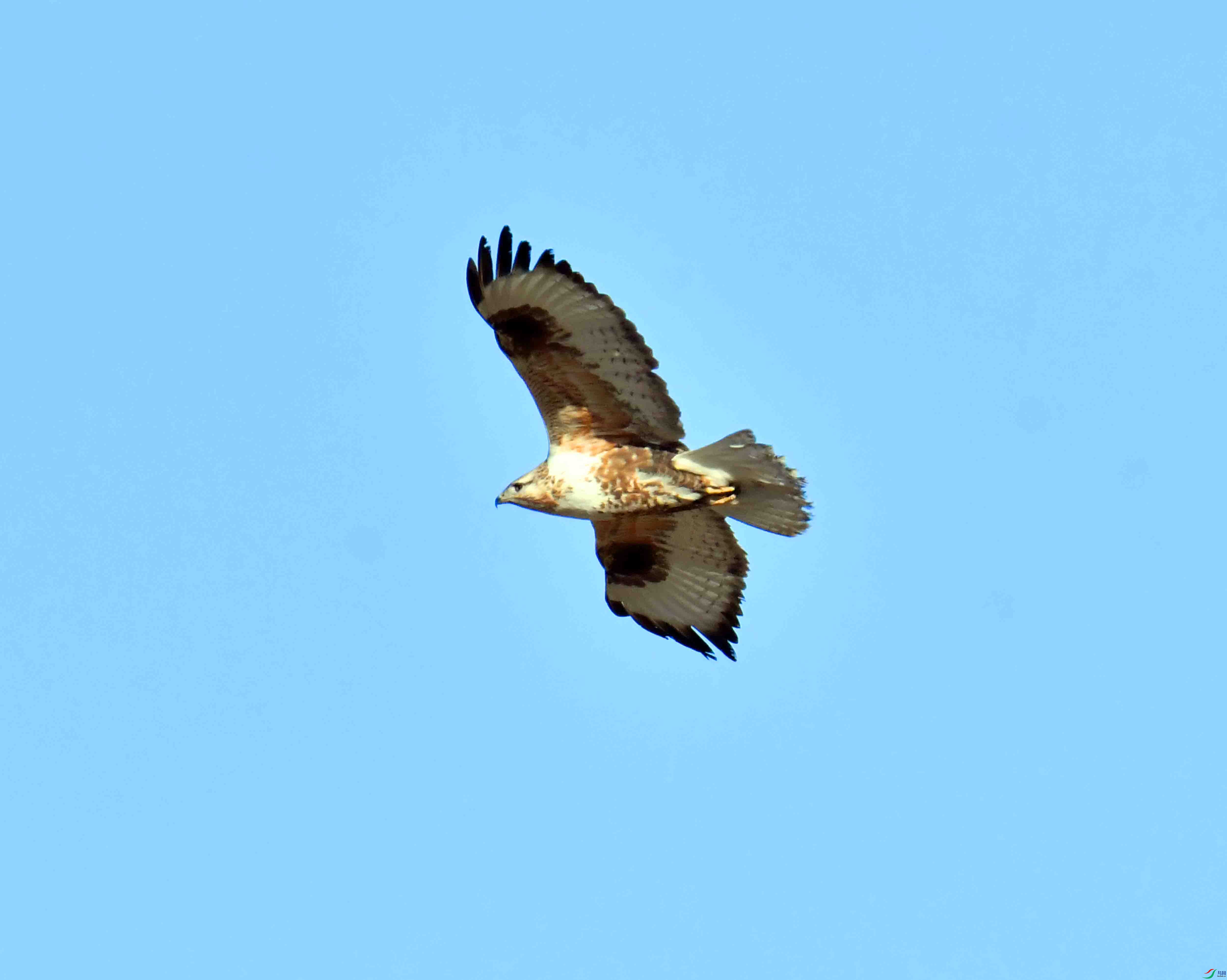 DSC_4473.JPG