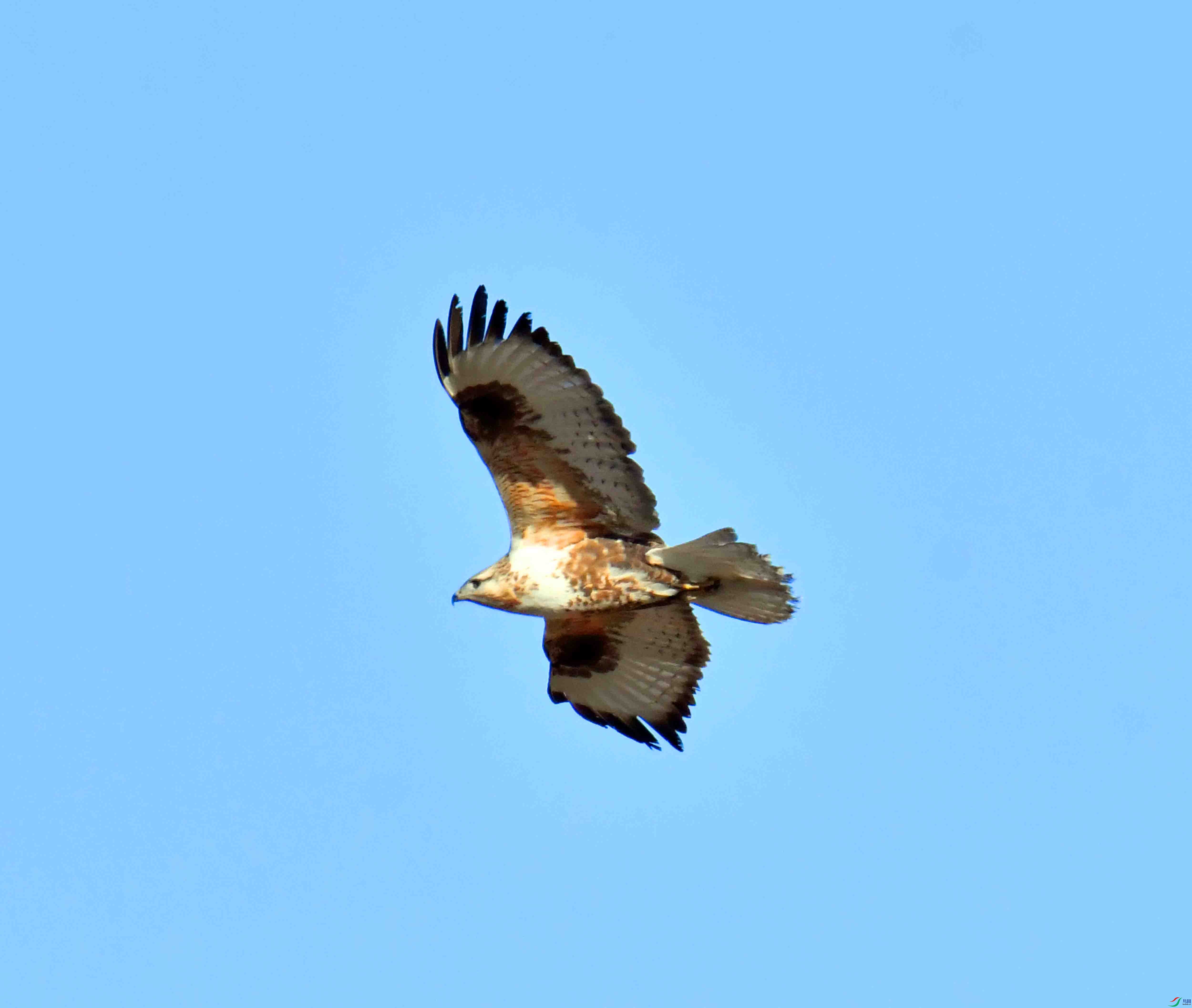 DSC_4472.JPG