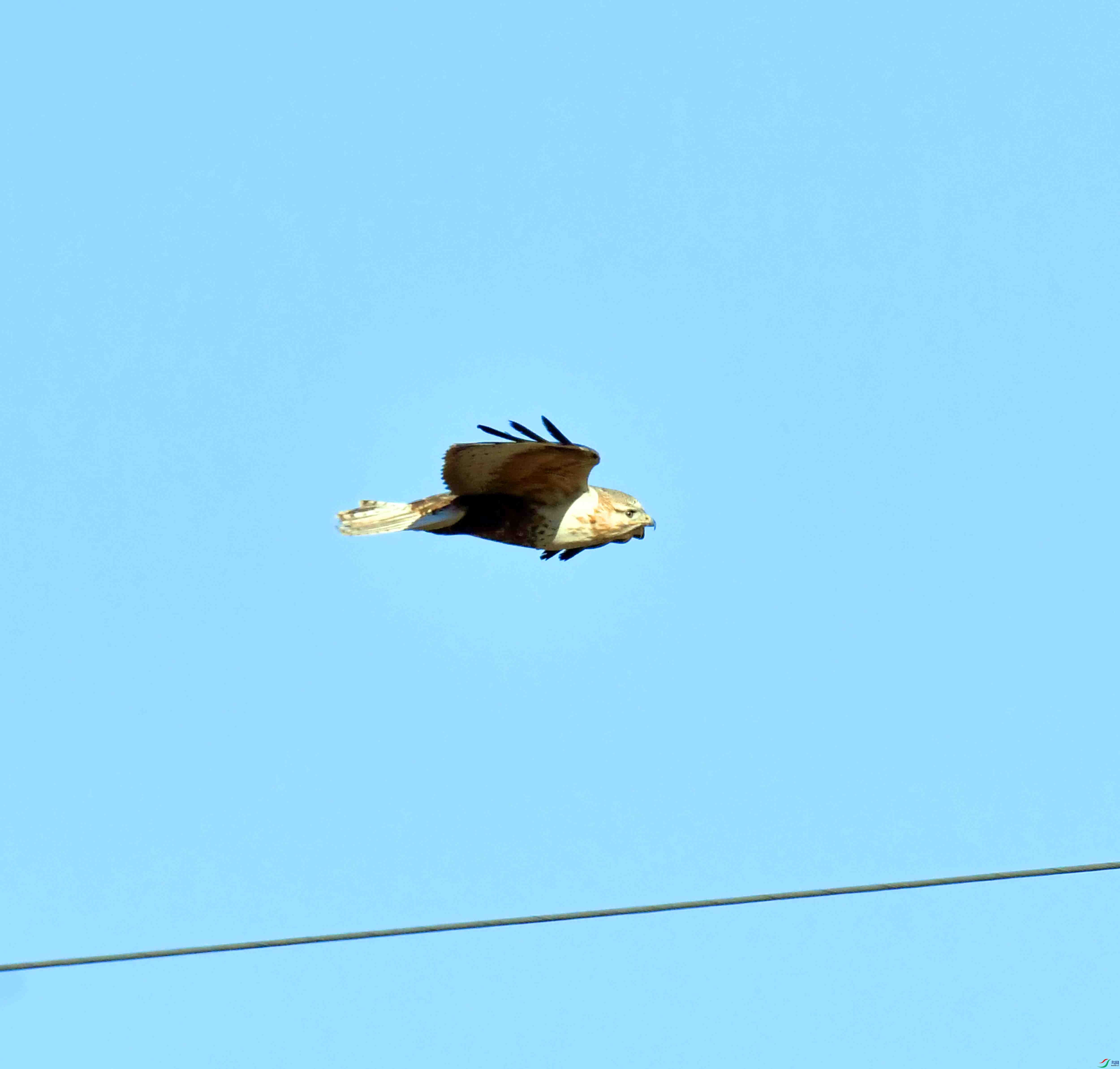 DSC_4486.JPG
