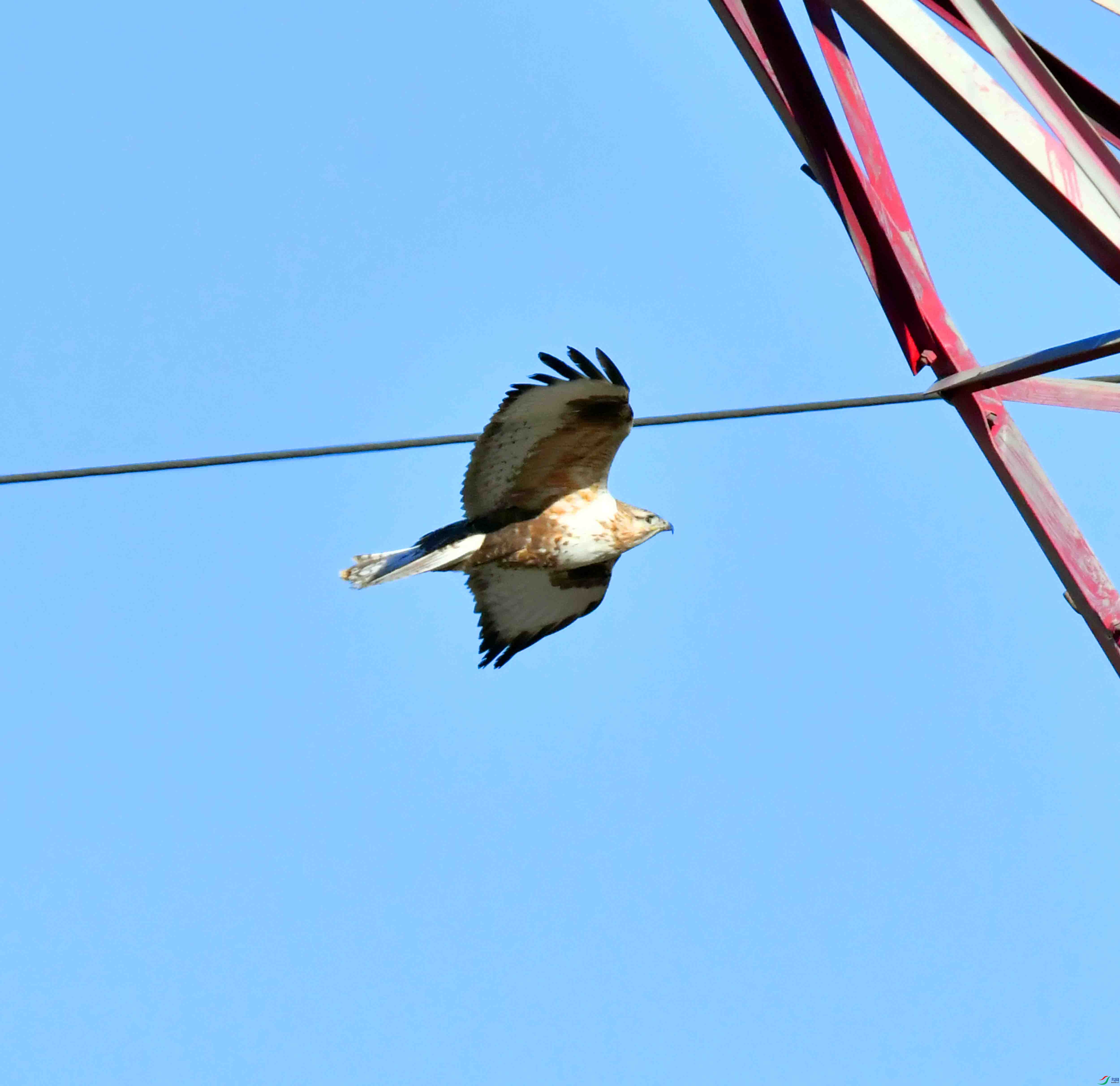 DSC_1102.JPG