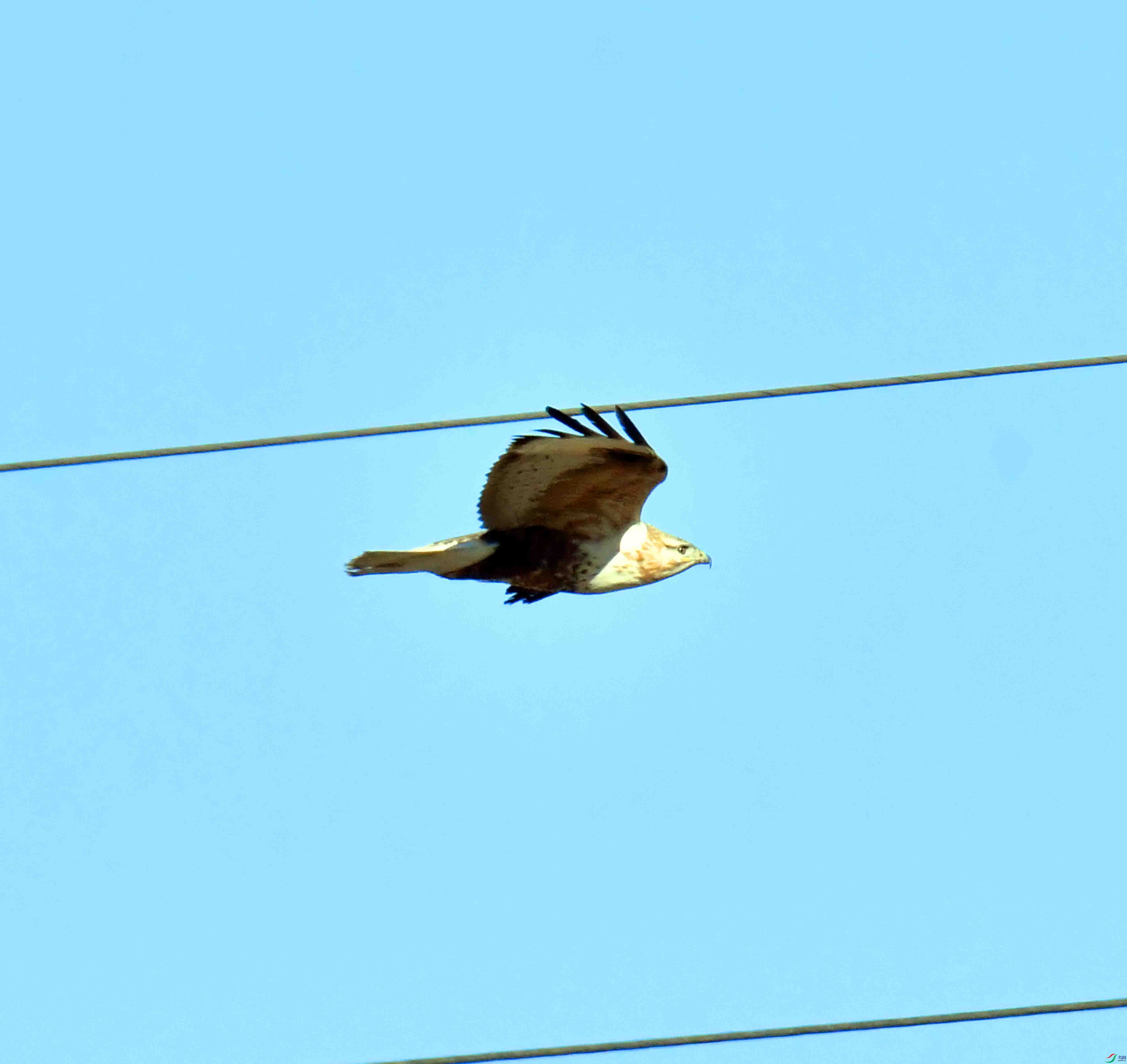 DSC_4488.JPG