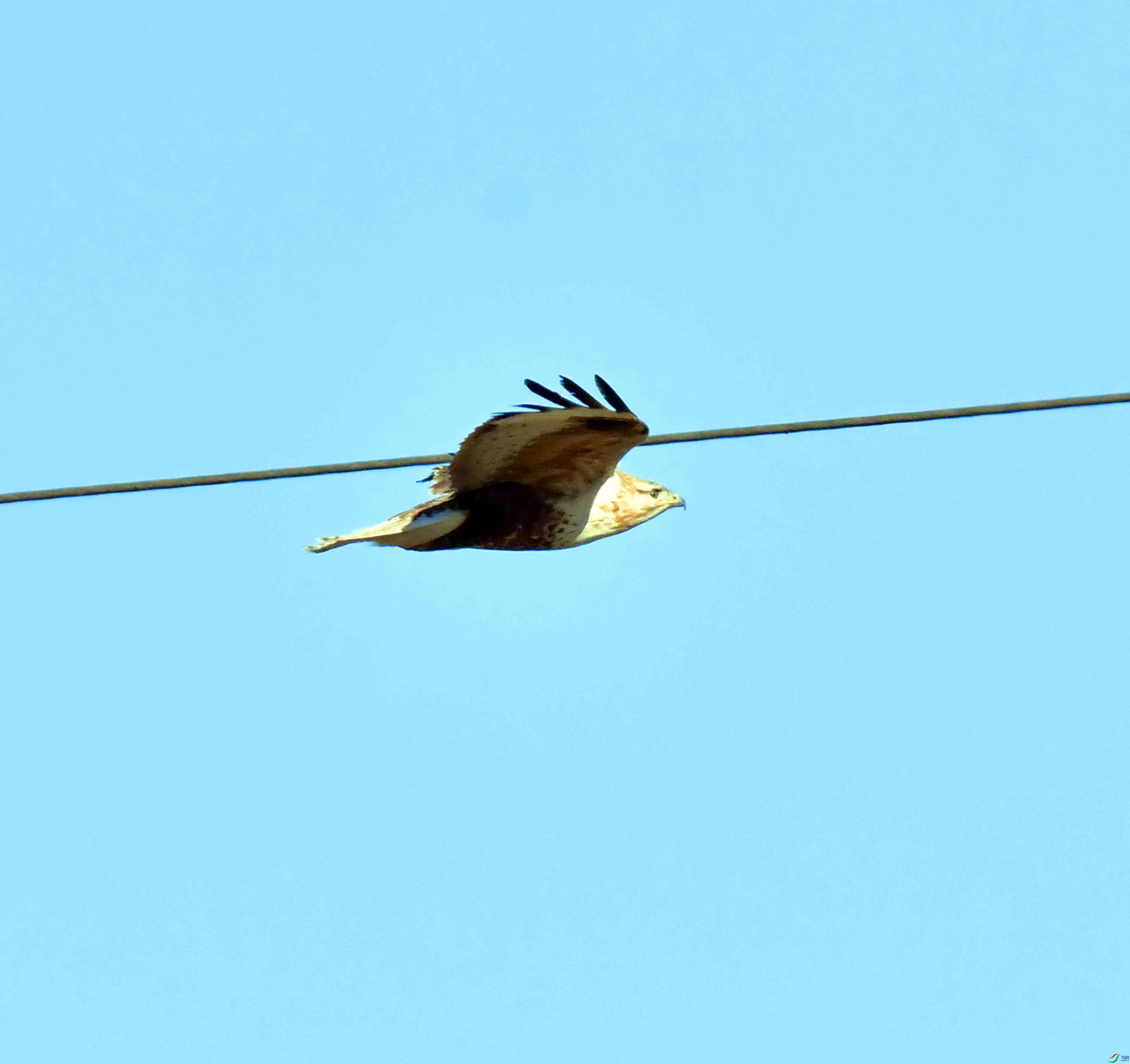 DSC_1101.JPG