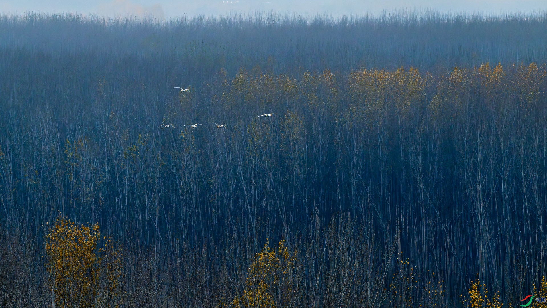 _DSC2655.jpg