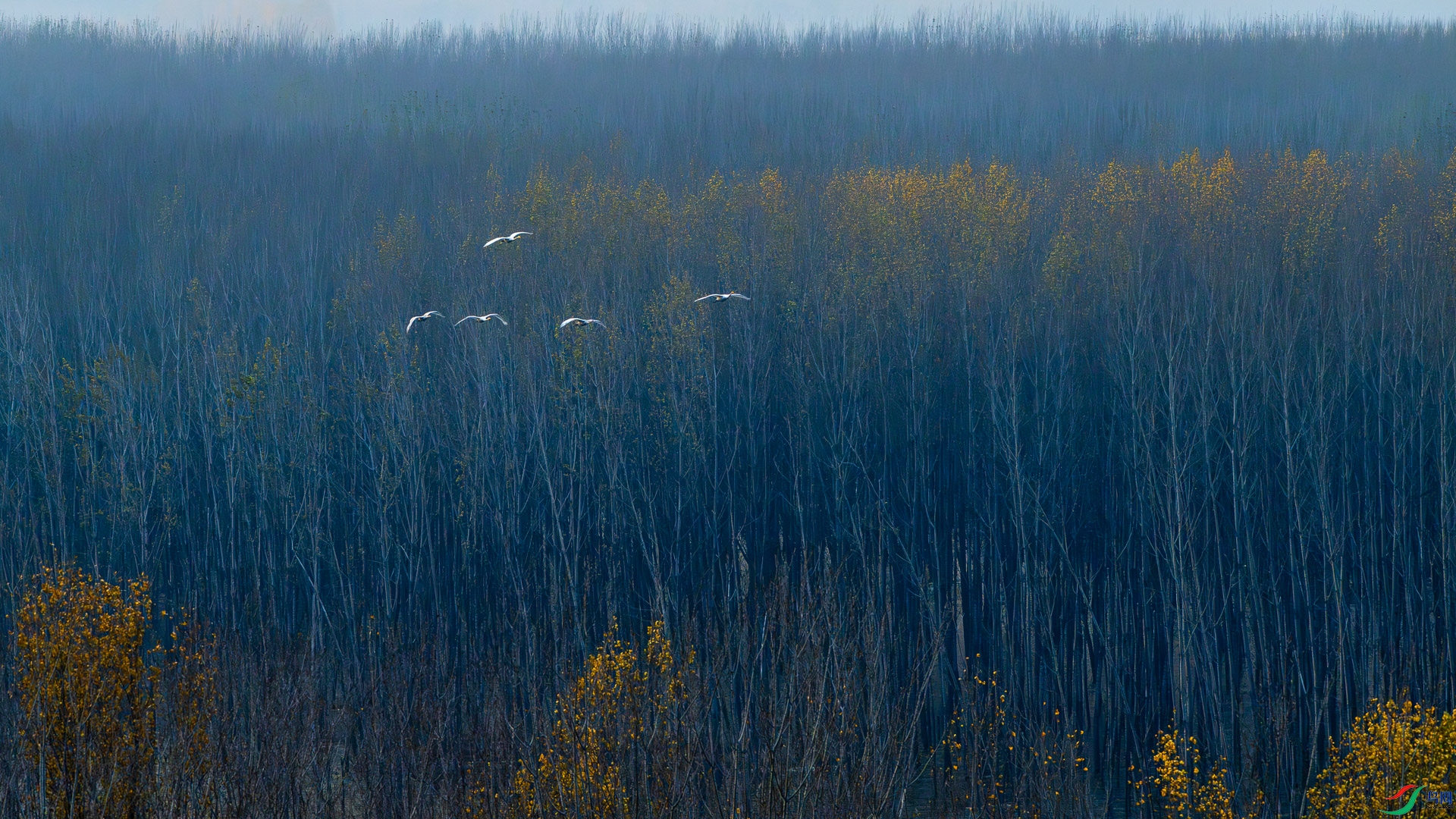 _DSC2663.jpg