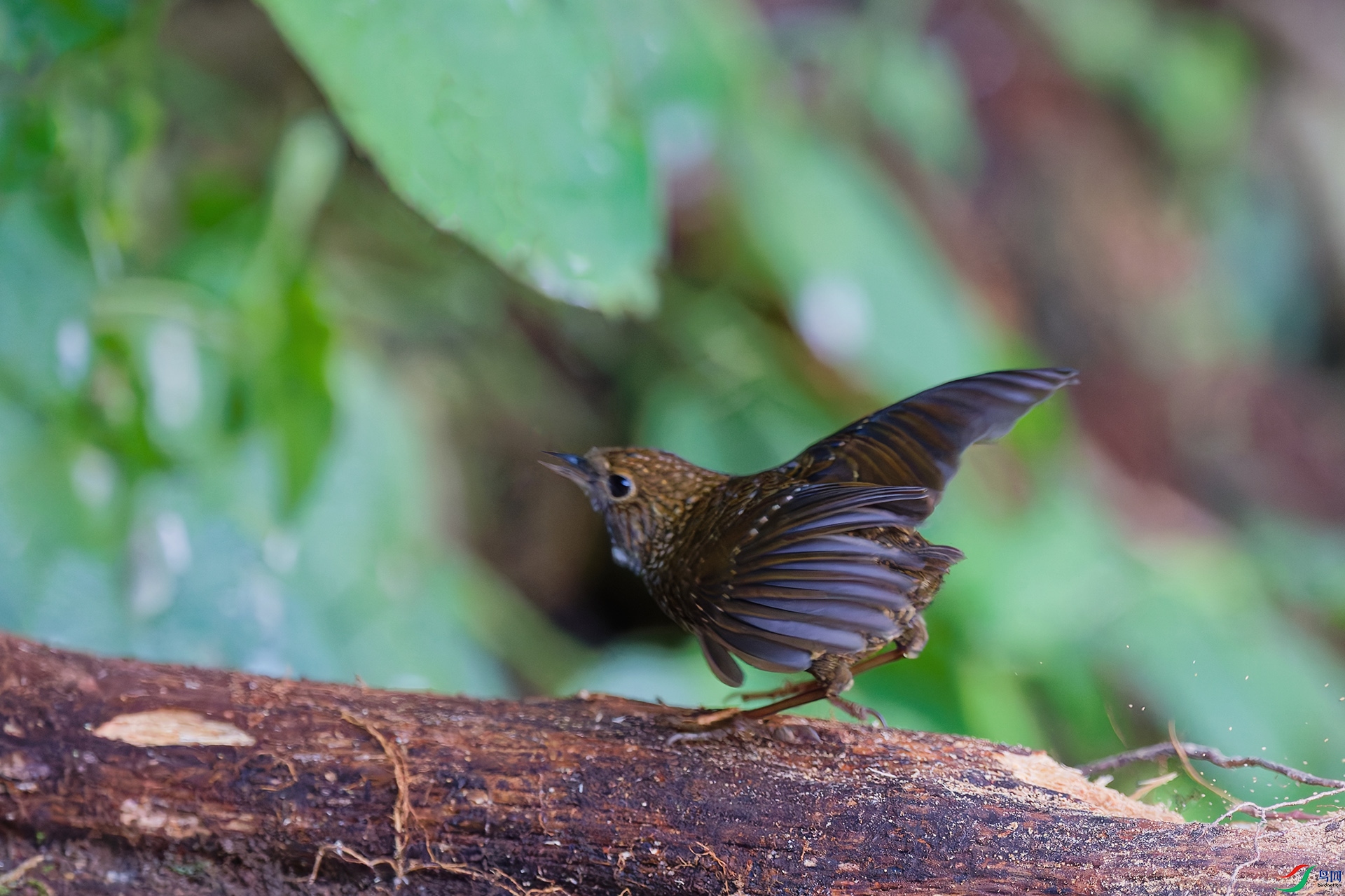 DSC_3179_DxO_DxOa.jpg