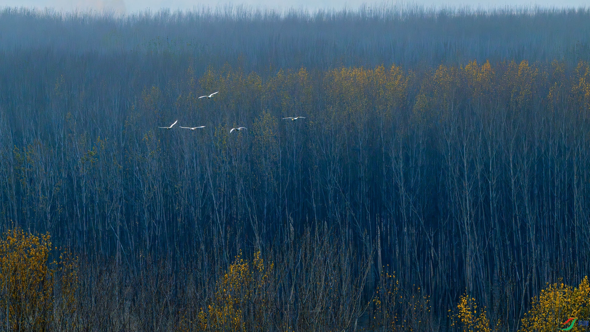 _DSC2665.jpg
