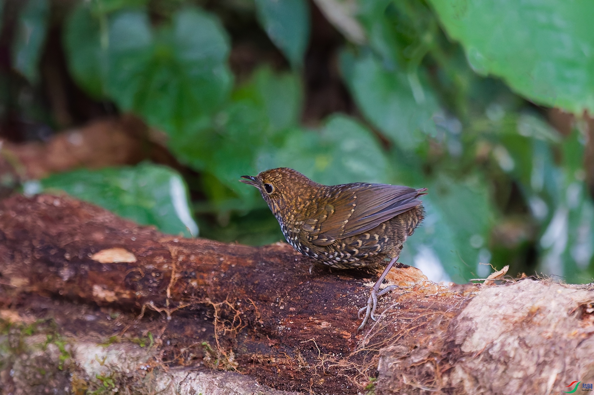 DSC_2757_DxO_DxOa.jpg
