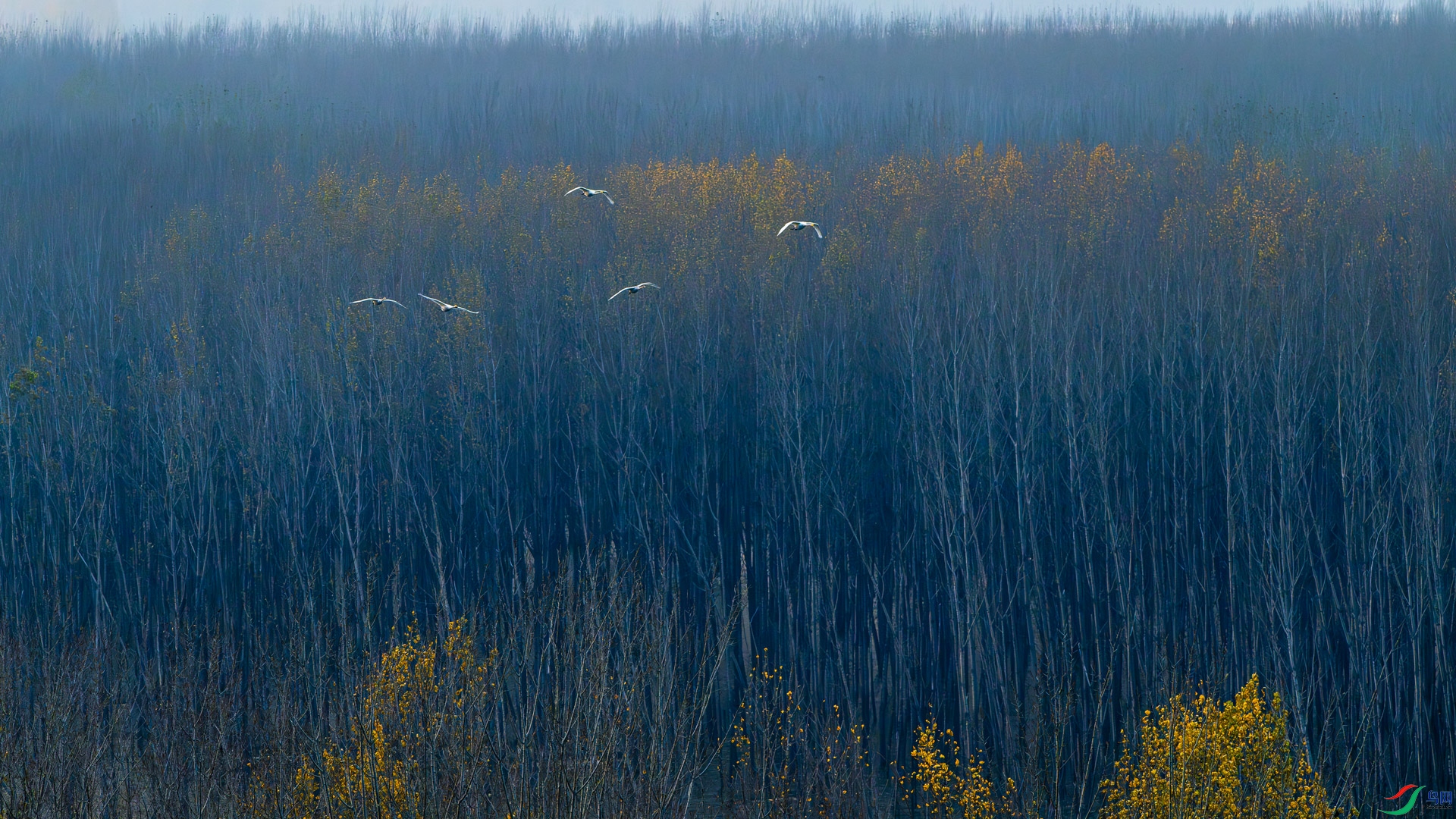 _DSC2679.jpg
