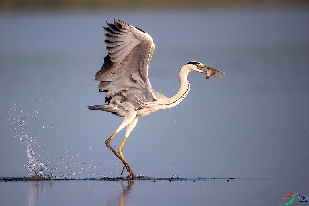 BN5I5056 ���� 2.jpg