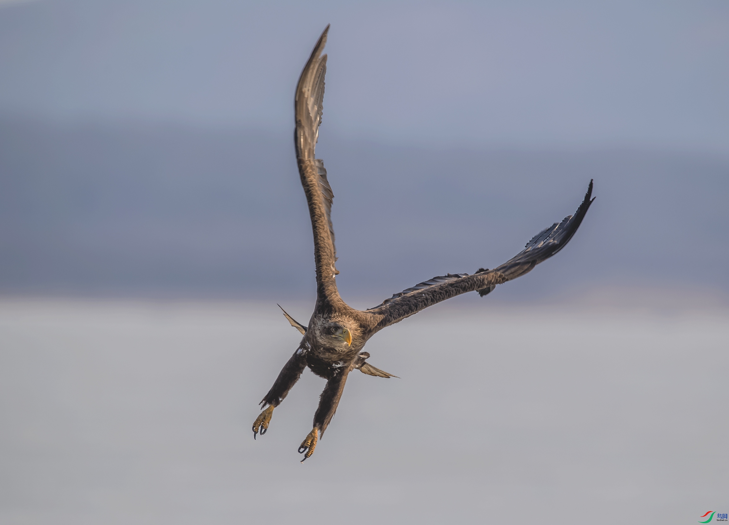 DSC_3888a.jpg