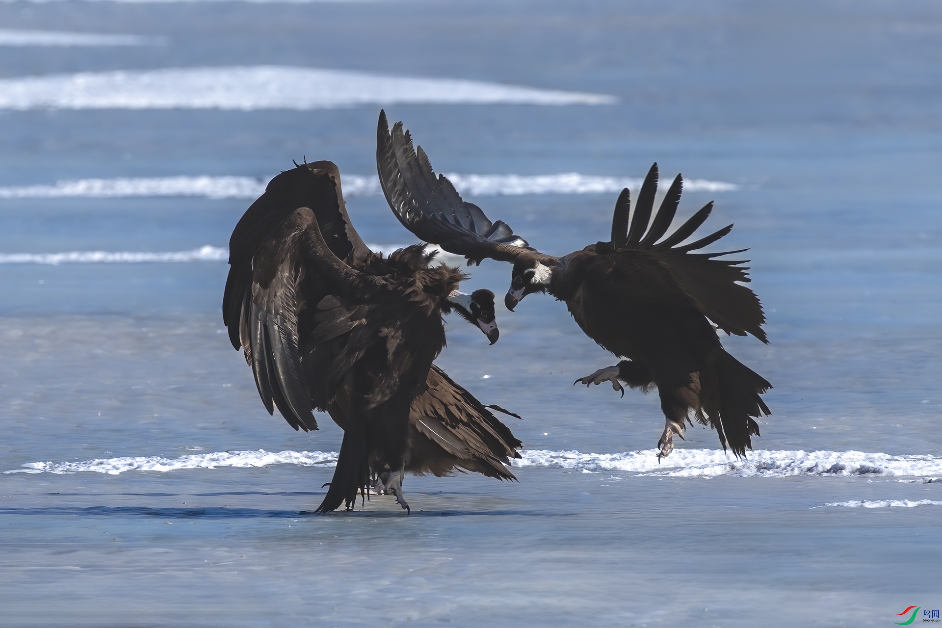 IMG_2296 ����.jpg