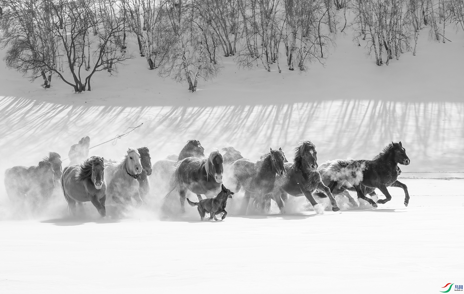 DSC_7070- ����AAA.jpg