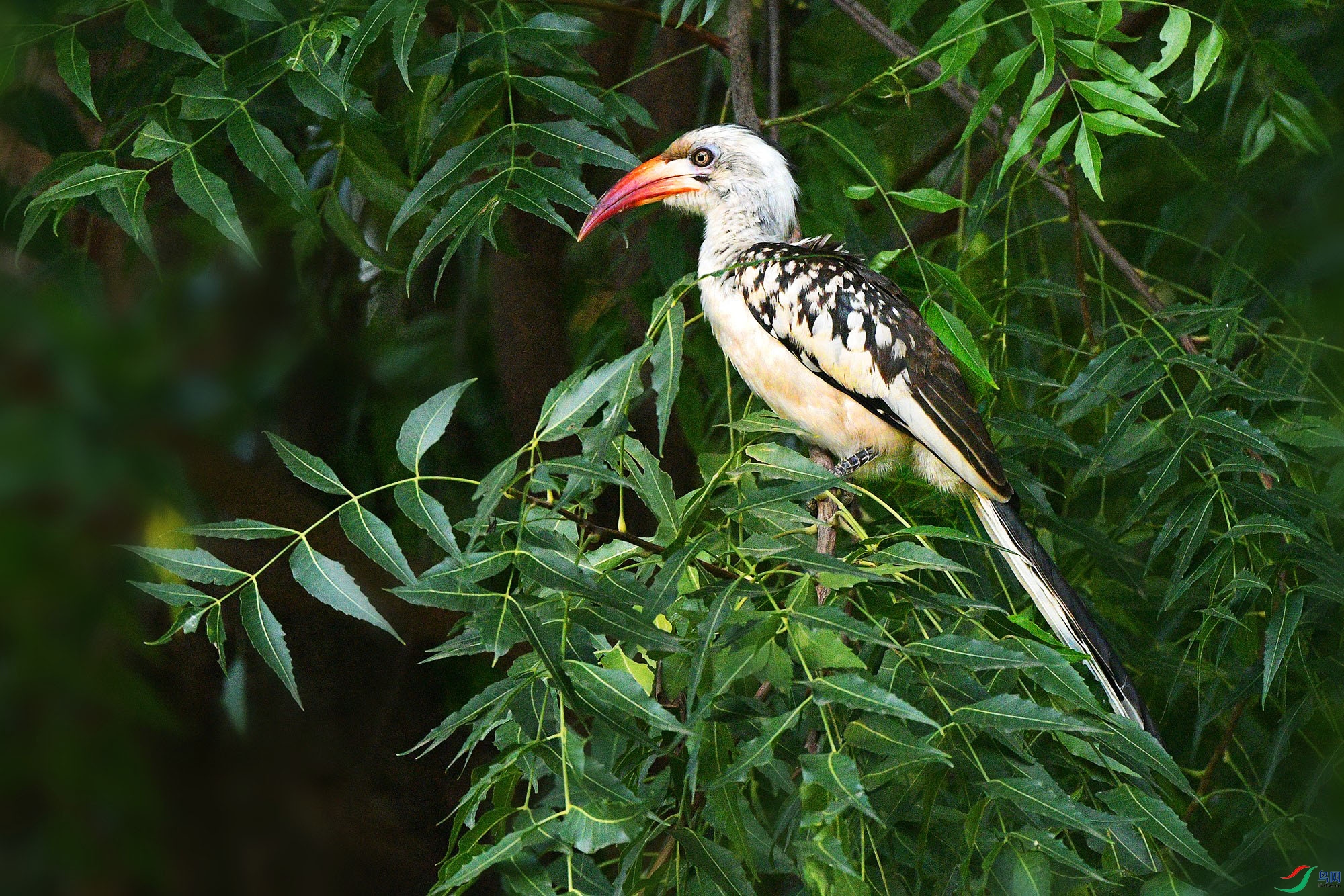 DSC_2129_c.jpg