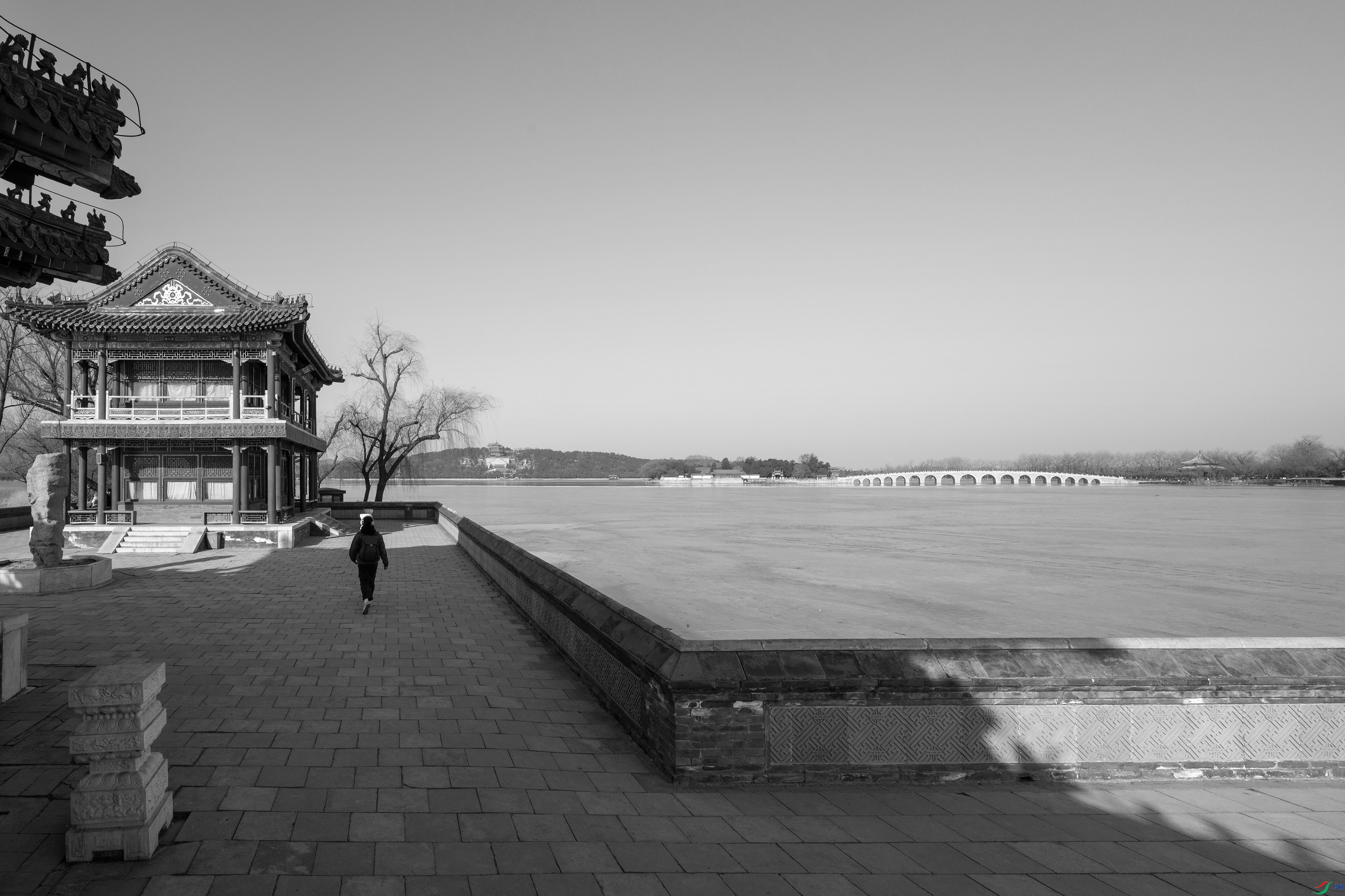 DSC_4774 ����.jpg