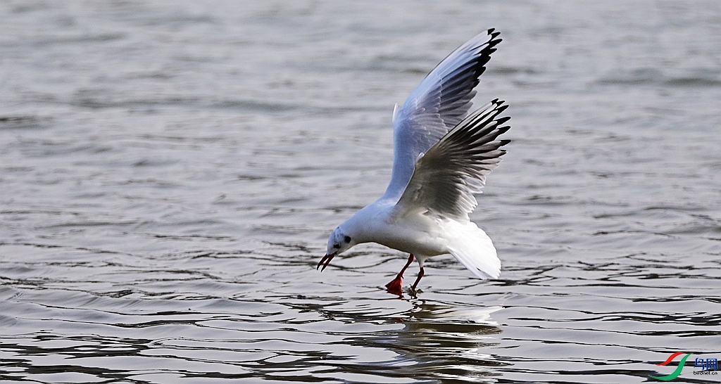 DSC_9951.JPG
