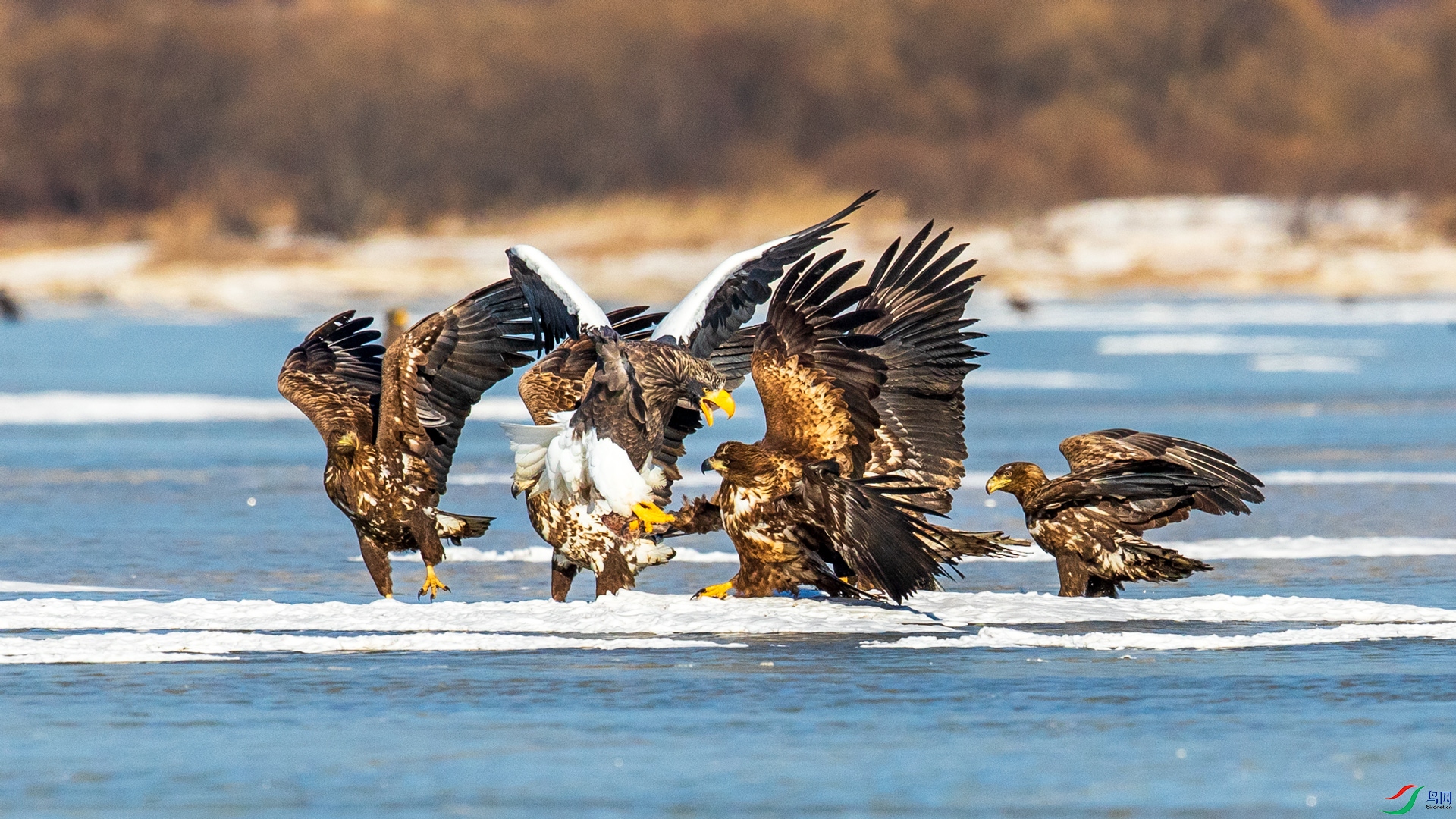 _R2I6495-1.jpg