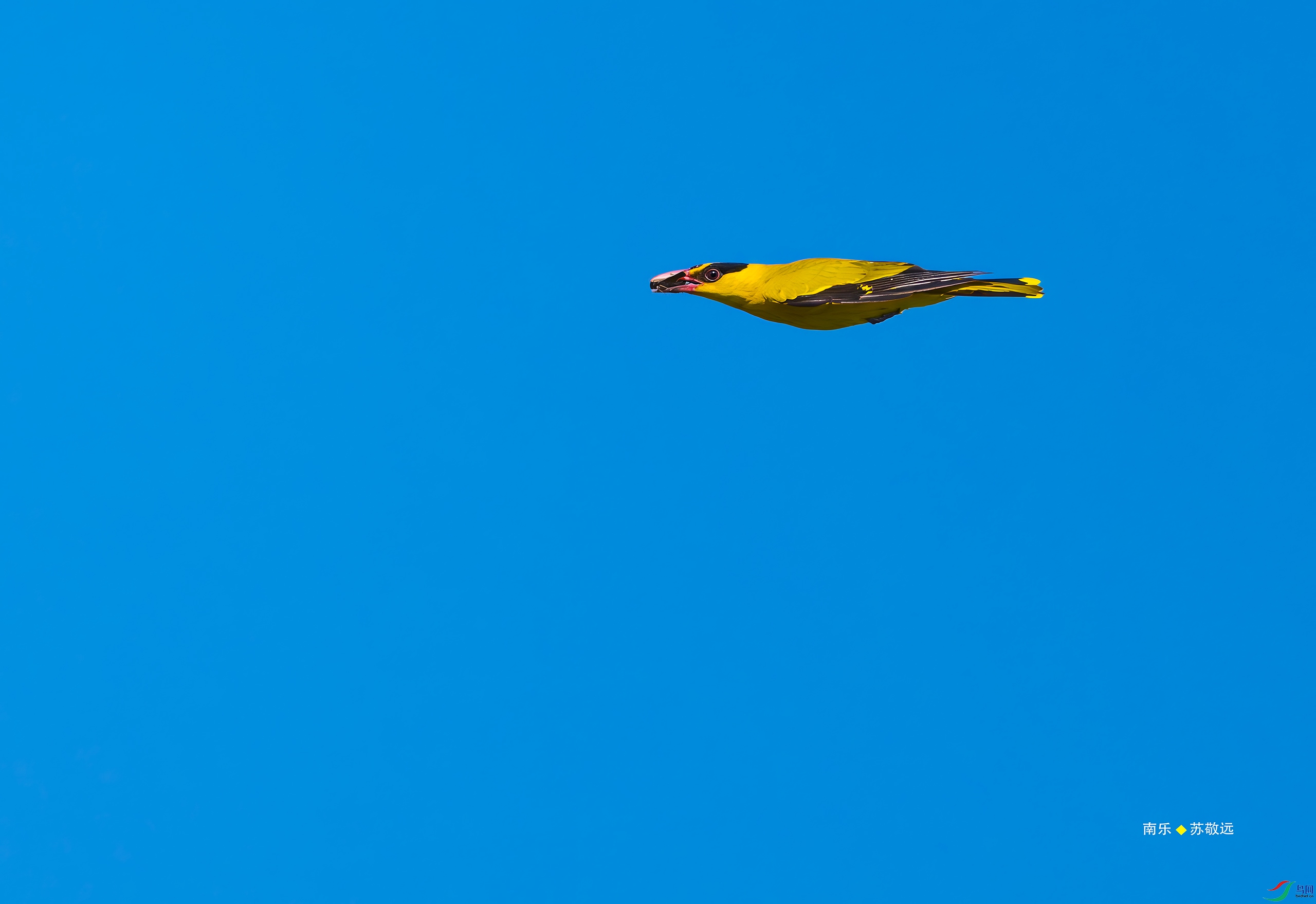 _DSC1483-DxO_С.jpg
