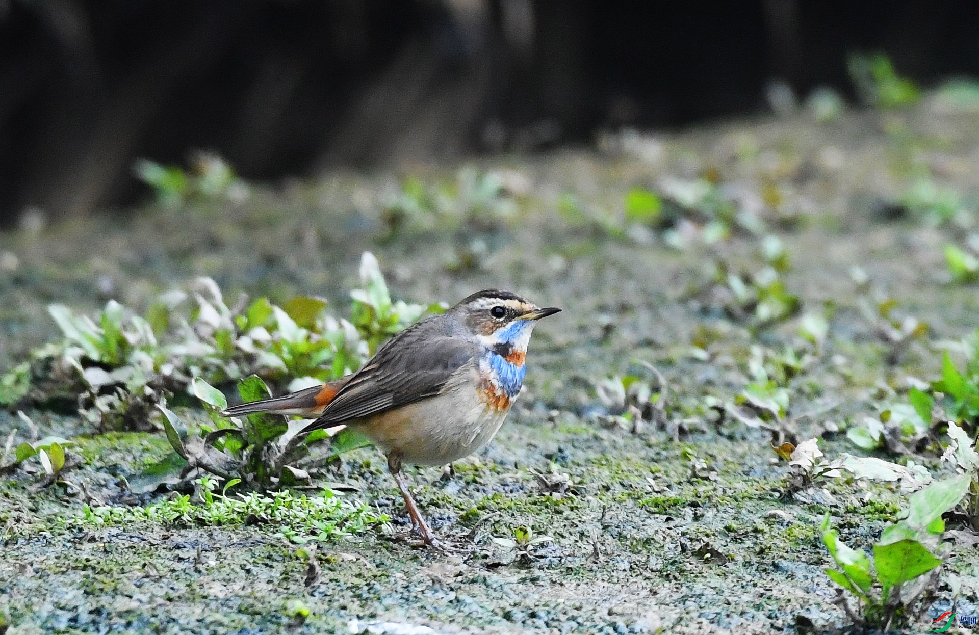 DSC_6974.jpg