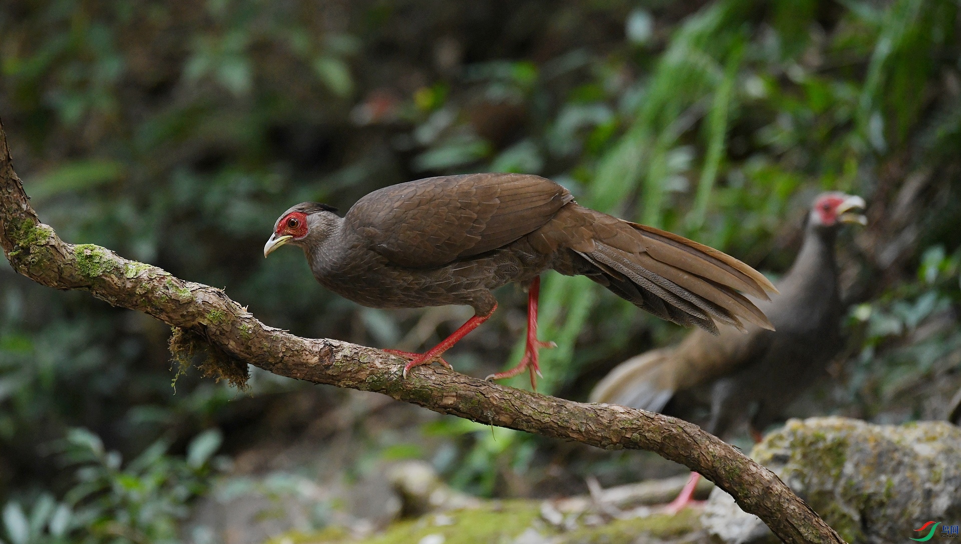 DSC_7203.jpg